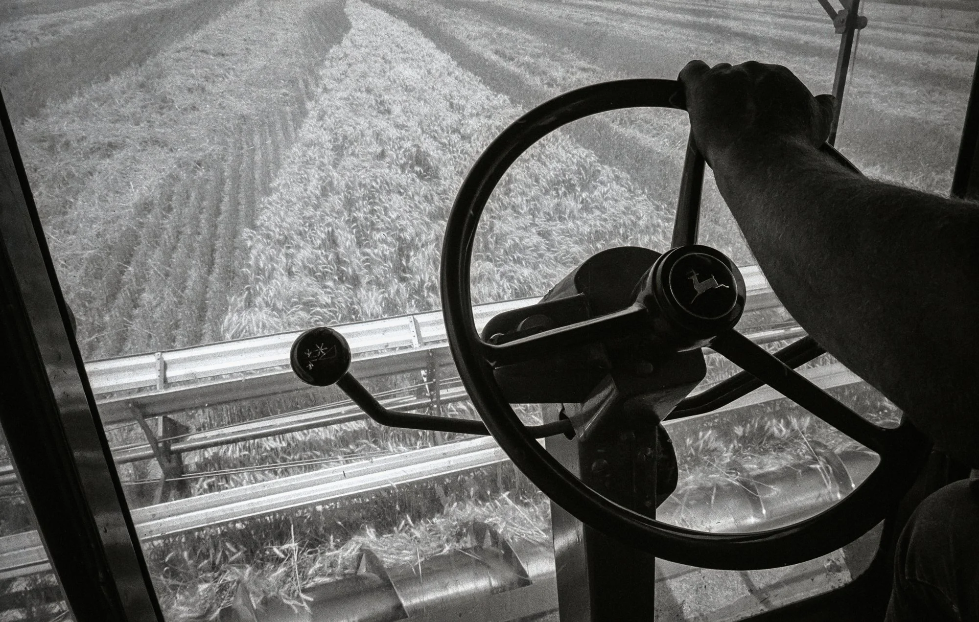 © 2026 Mark Maio-10-Cutting Wheat, Marquette, KS.jpg