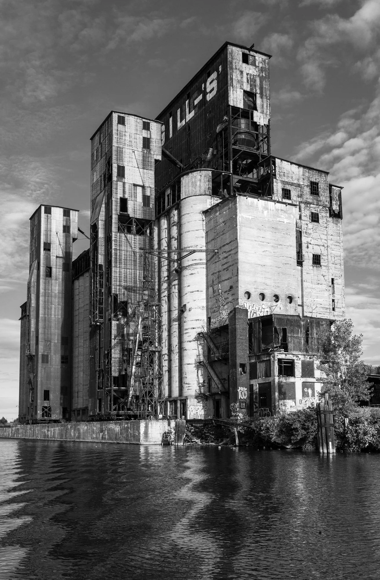 © 2026 Mark Maio-23-Cargill – “S” Buffalo, NY.jpg