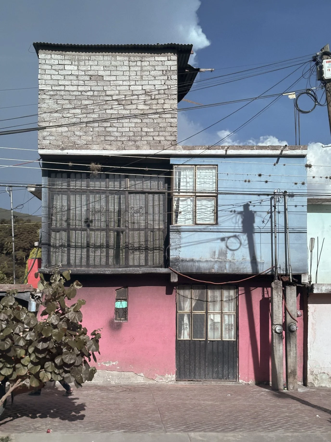 CARL_MARTIN_MEXICO_IMG_2049 copy.jpg