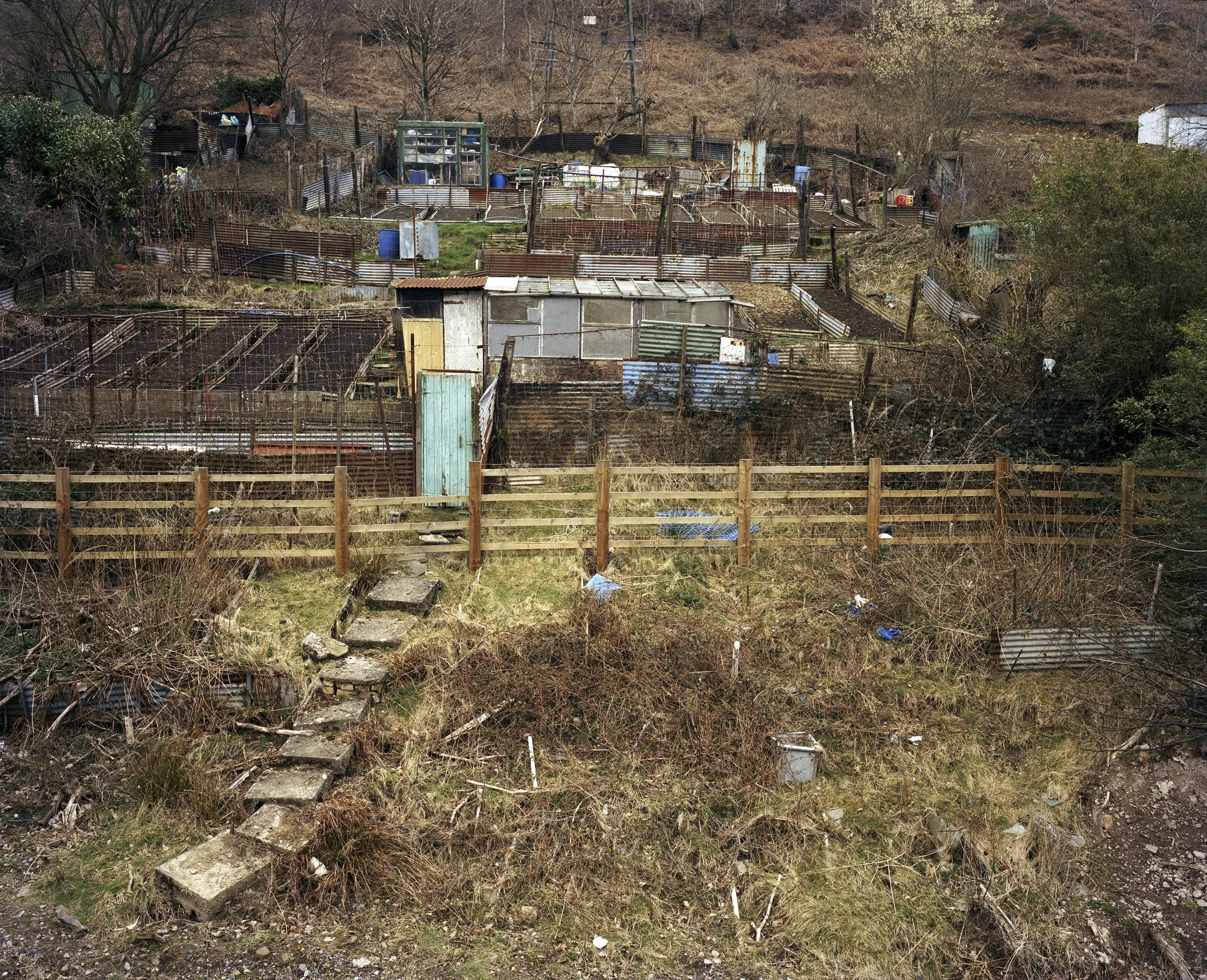 Allotments, Cwm 2000.jpg