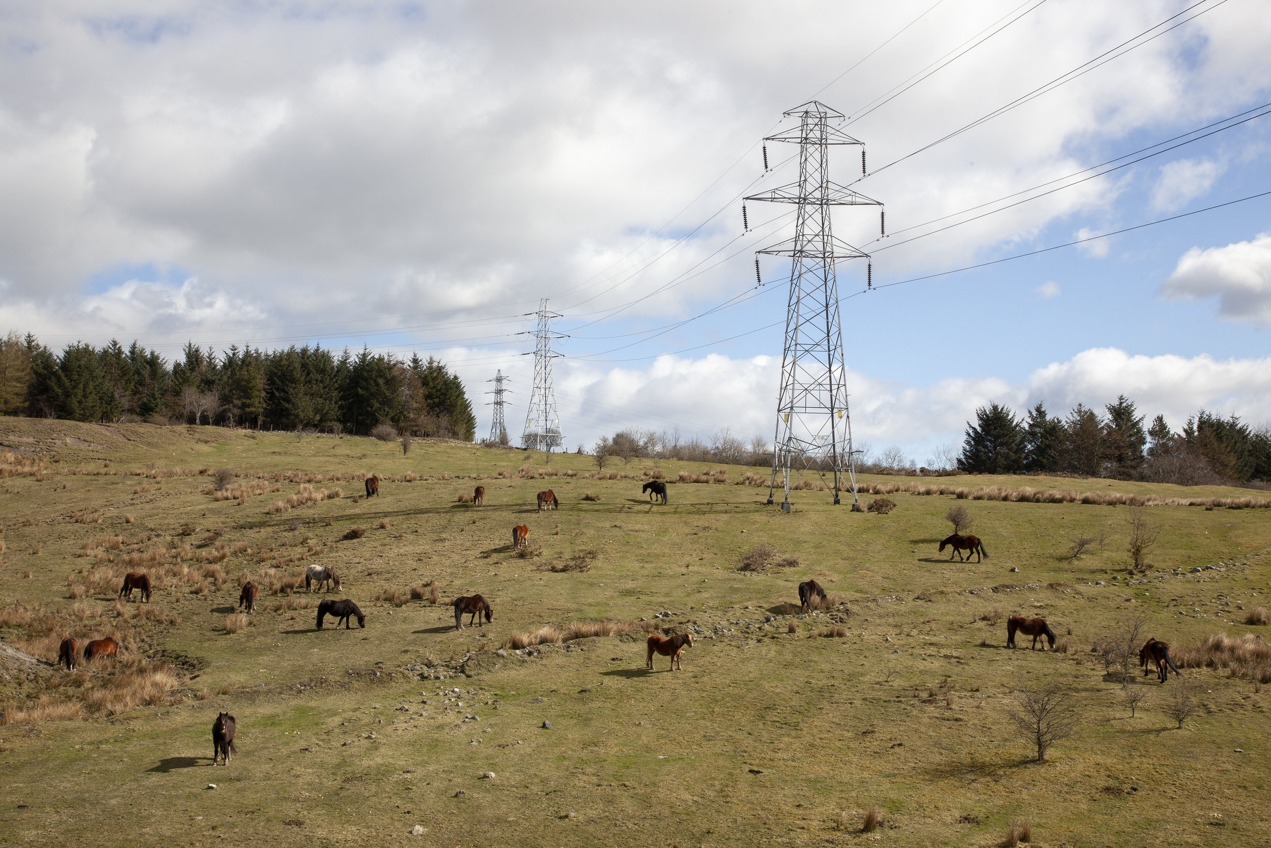 Horses and Council estates, Beaufort, South Wales 2020.jpg