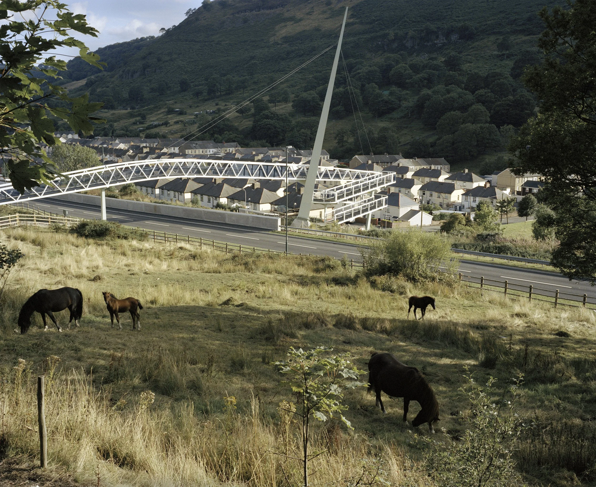 Horses near A4042 near Cwm, 2001.jpg