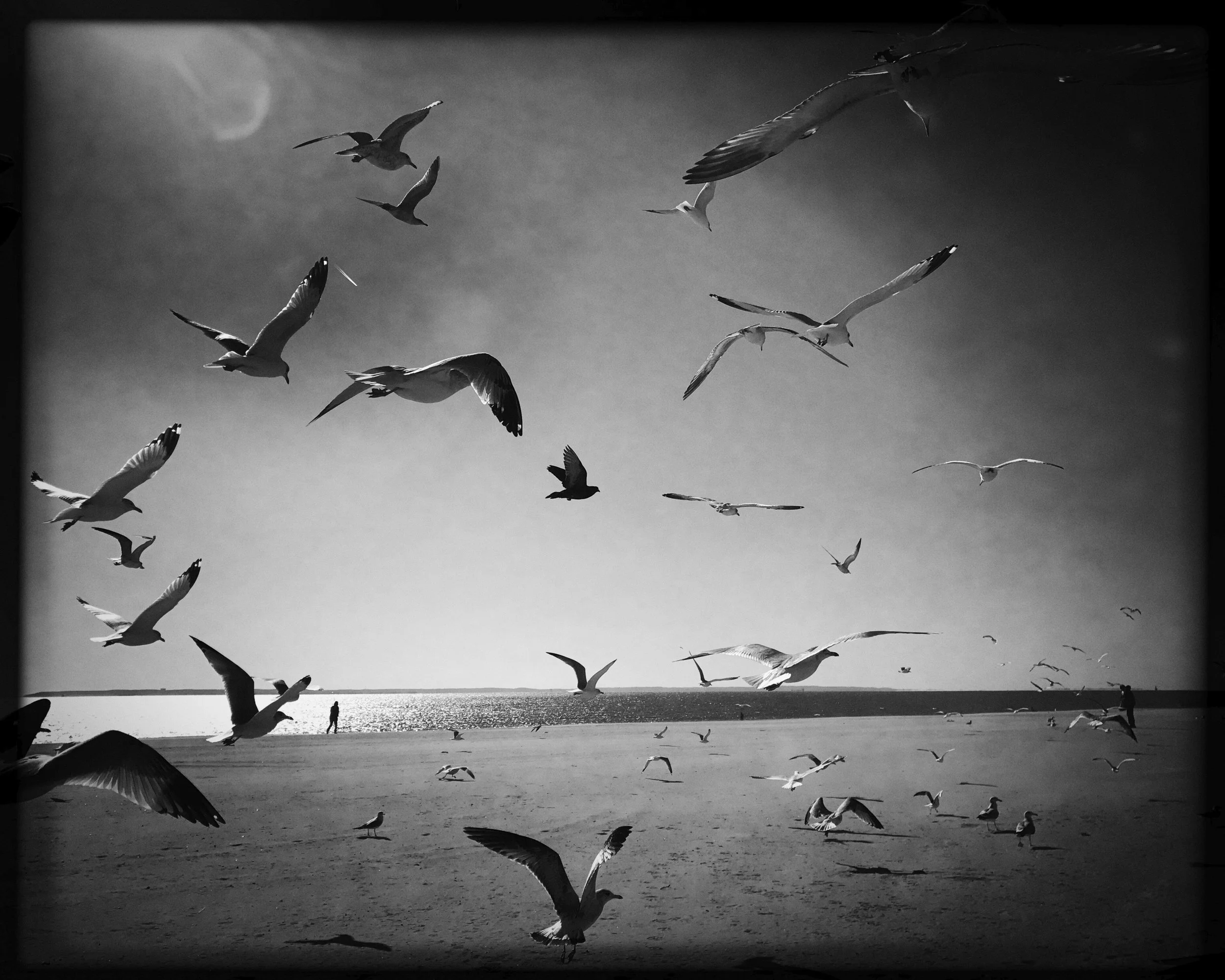 ©️Marina Sersale, Liminal Space.jpg