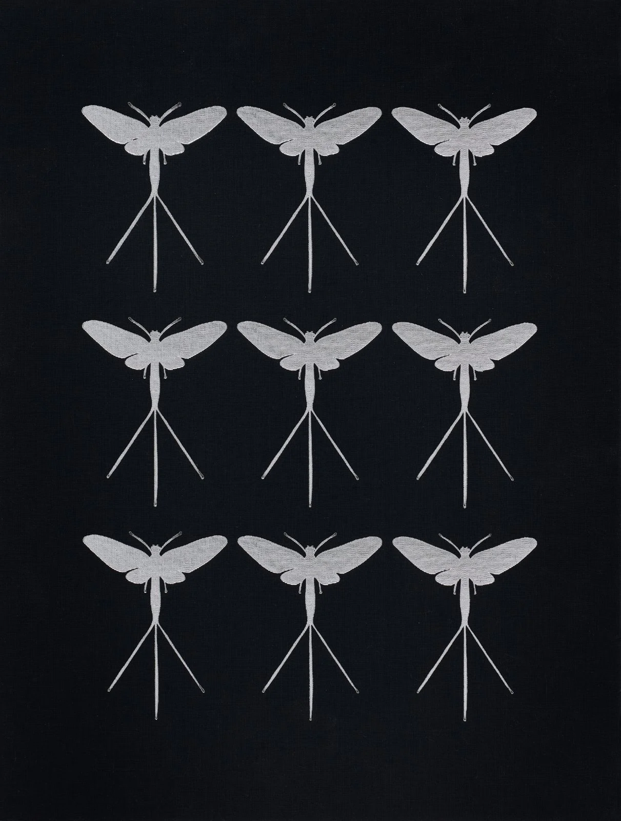 cover_mayflies_darren-smith..jpg