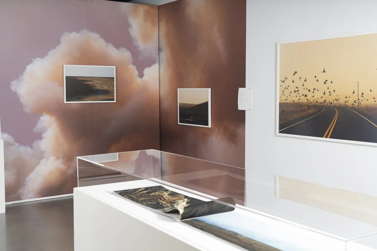11HaysJessica_SSMaHorizoneLine_Install_CenterGalleries.jpg