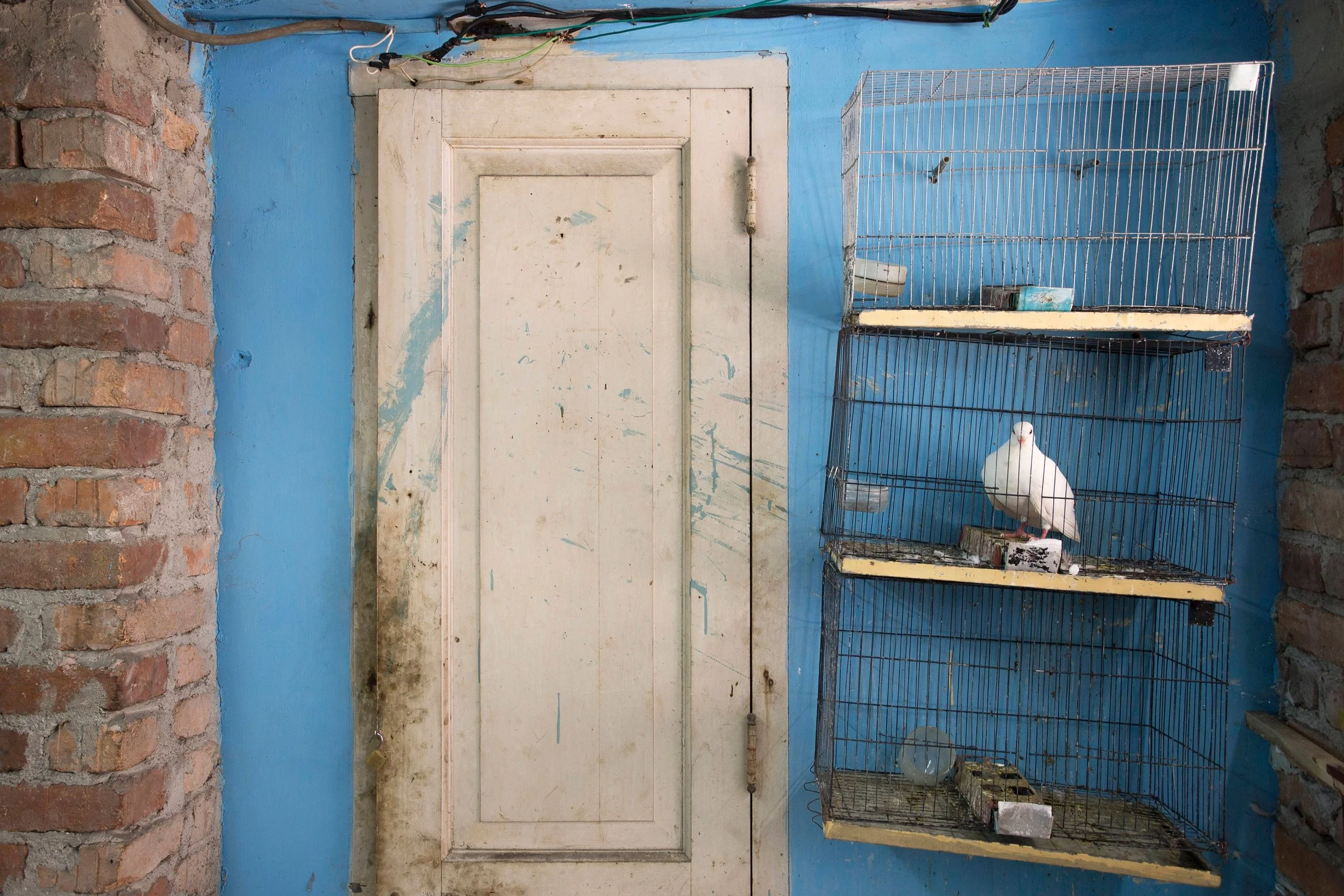 09_habana_paolo-simonazzi.jpg