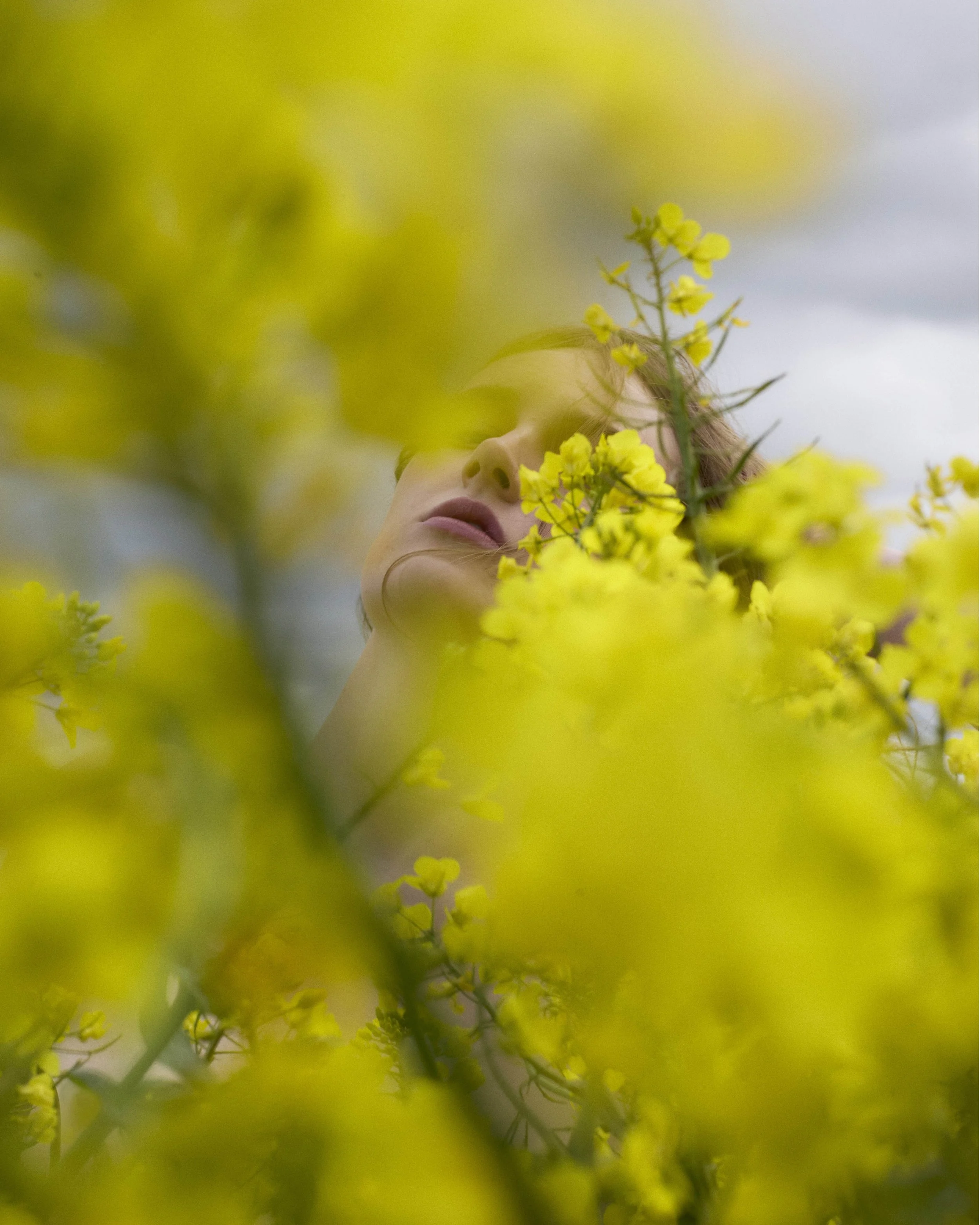 457_Rapeseed__00193 copy 2.jpg