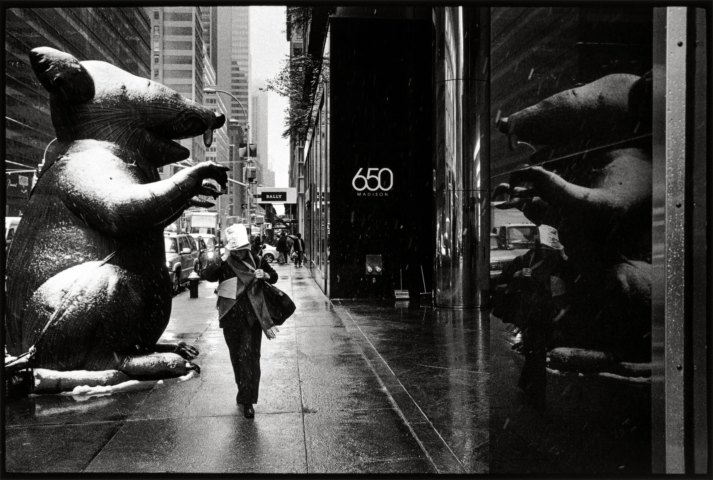 Union rat, Madison Avenue, Midtown, January 26, 2011.jpg