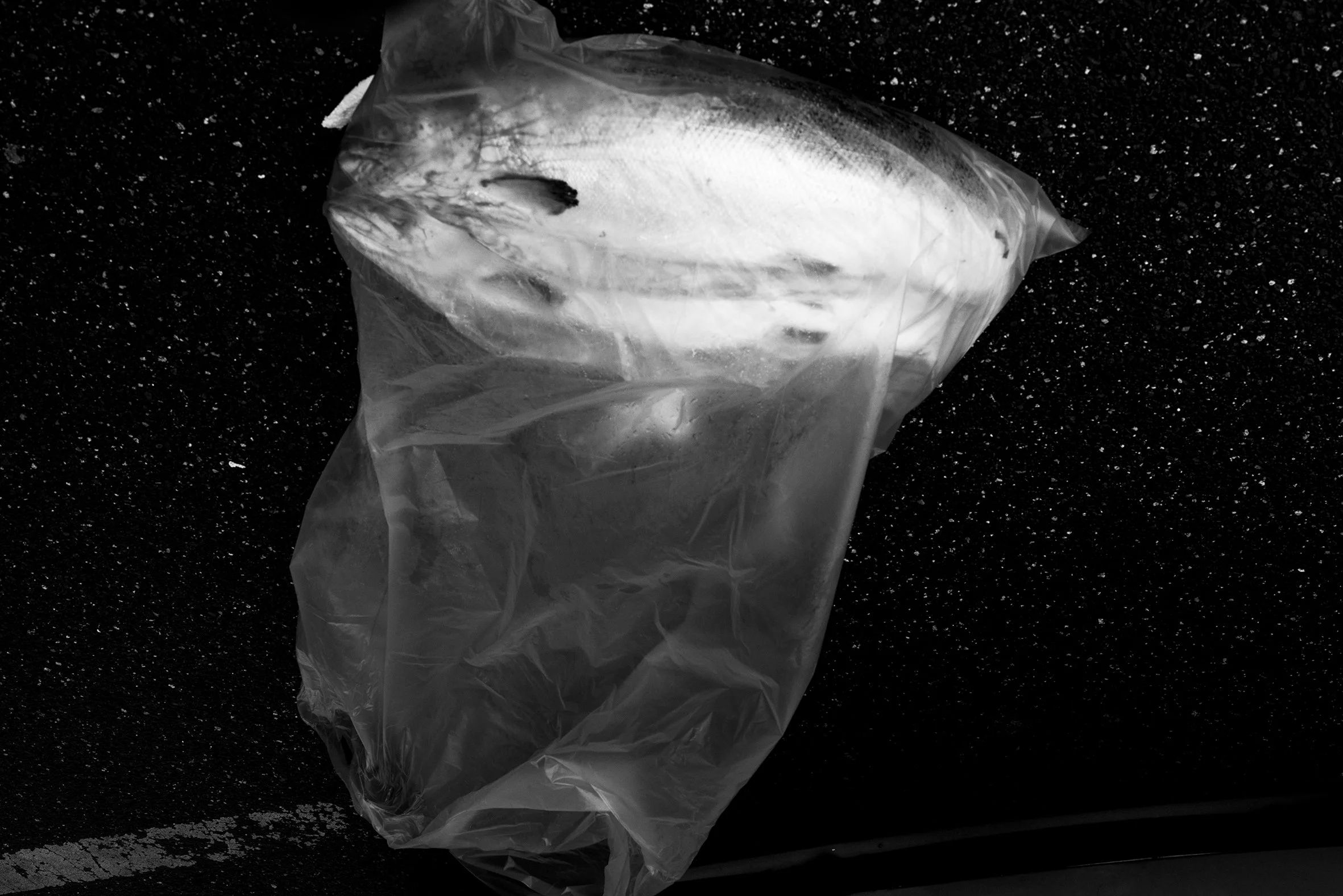 02_K49814_filamenta_rgb.jpg