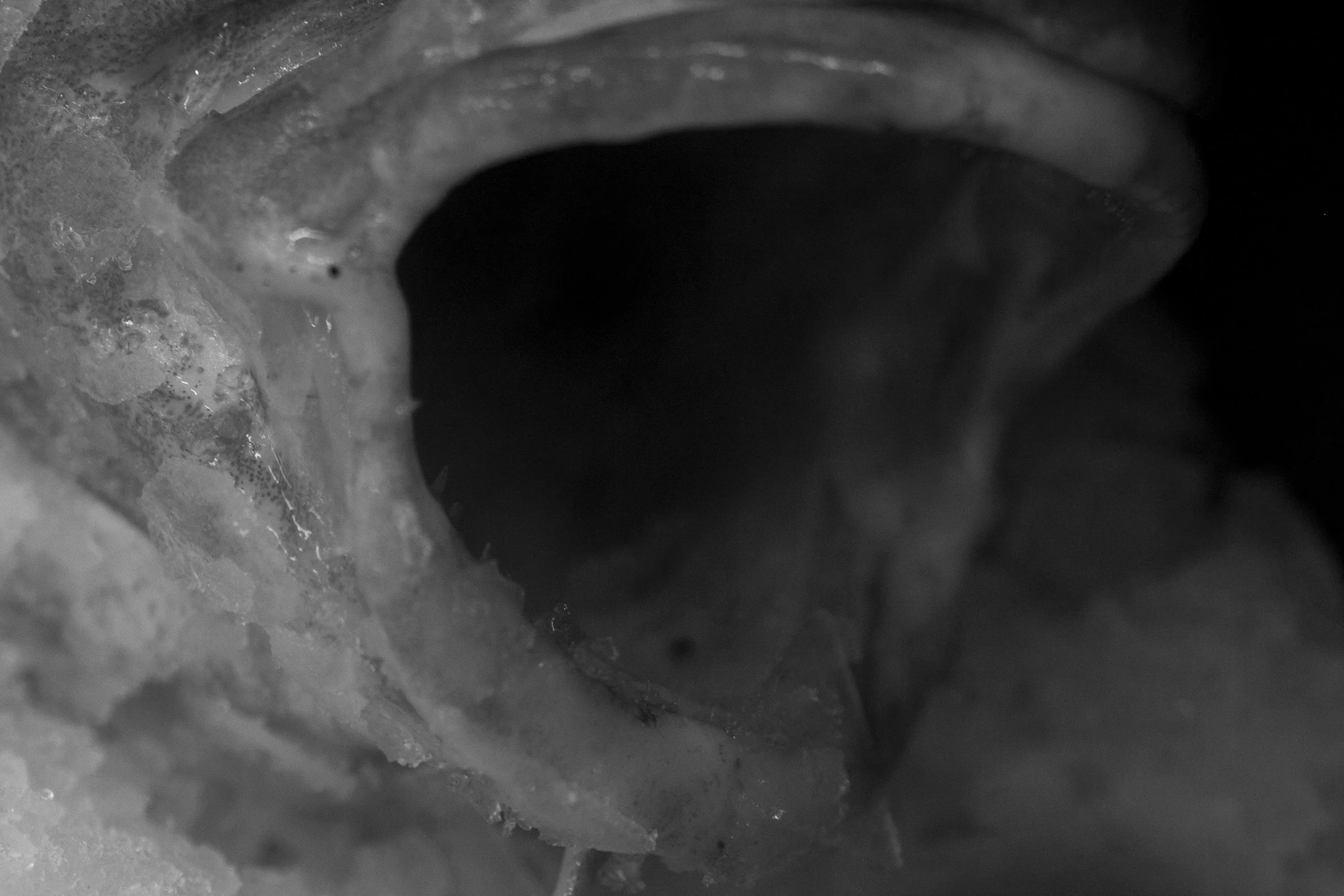 03_K49814_filamenta_rgb.jpg