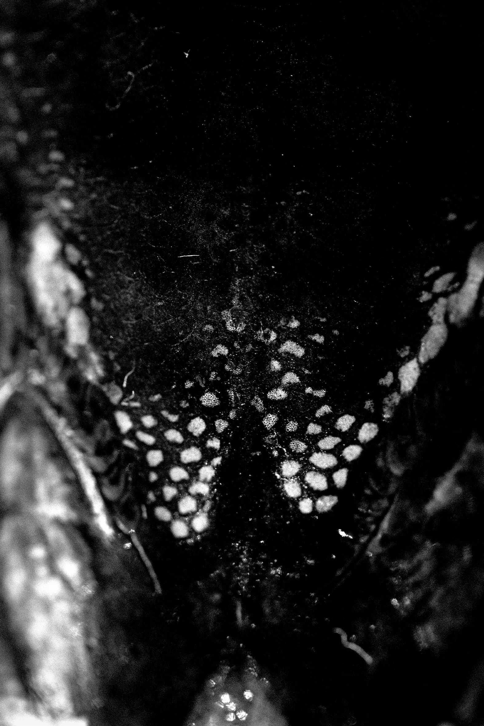 05_K49814_filamenta_rgb.jpg