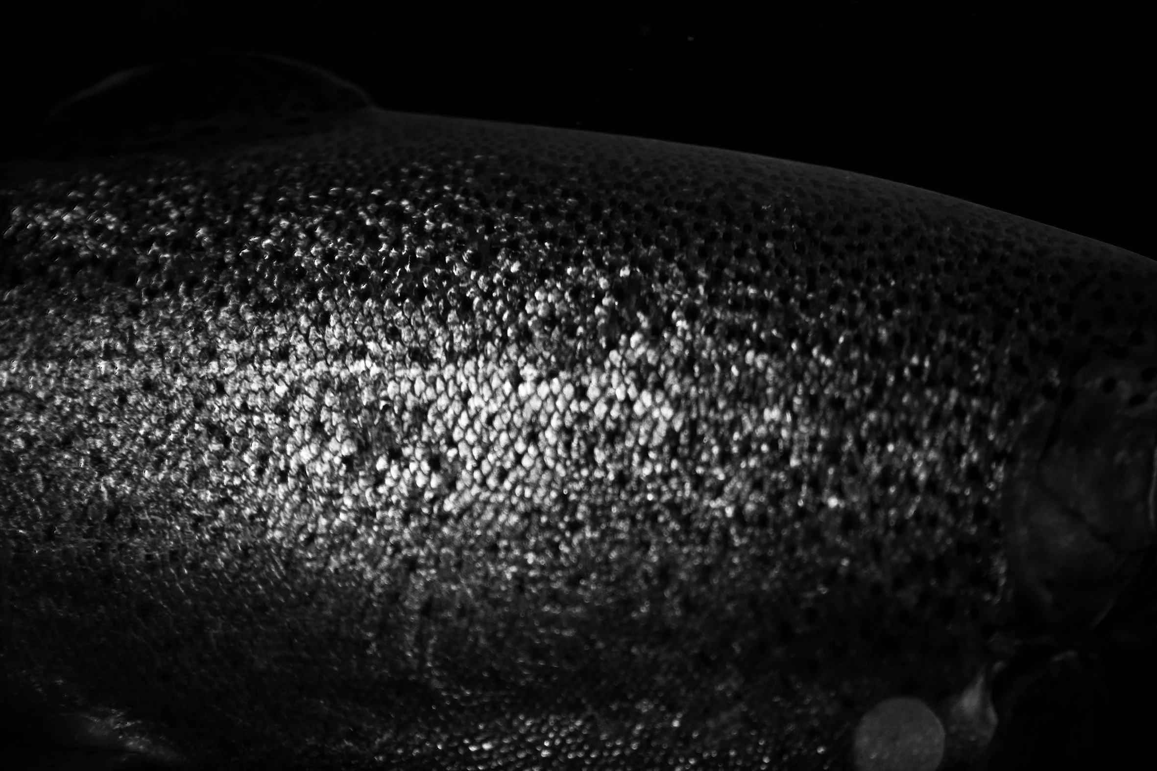 08_K49814_filamenta_rgb.jpg