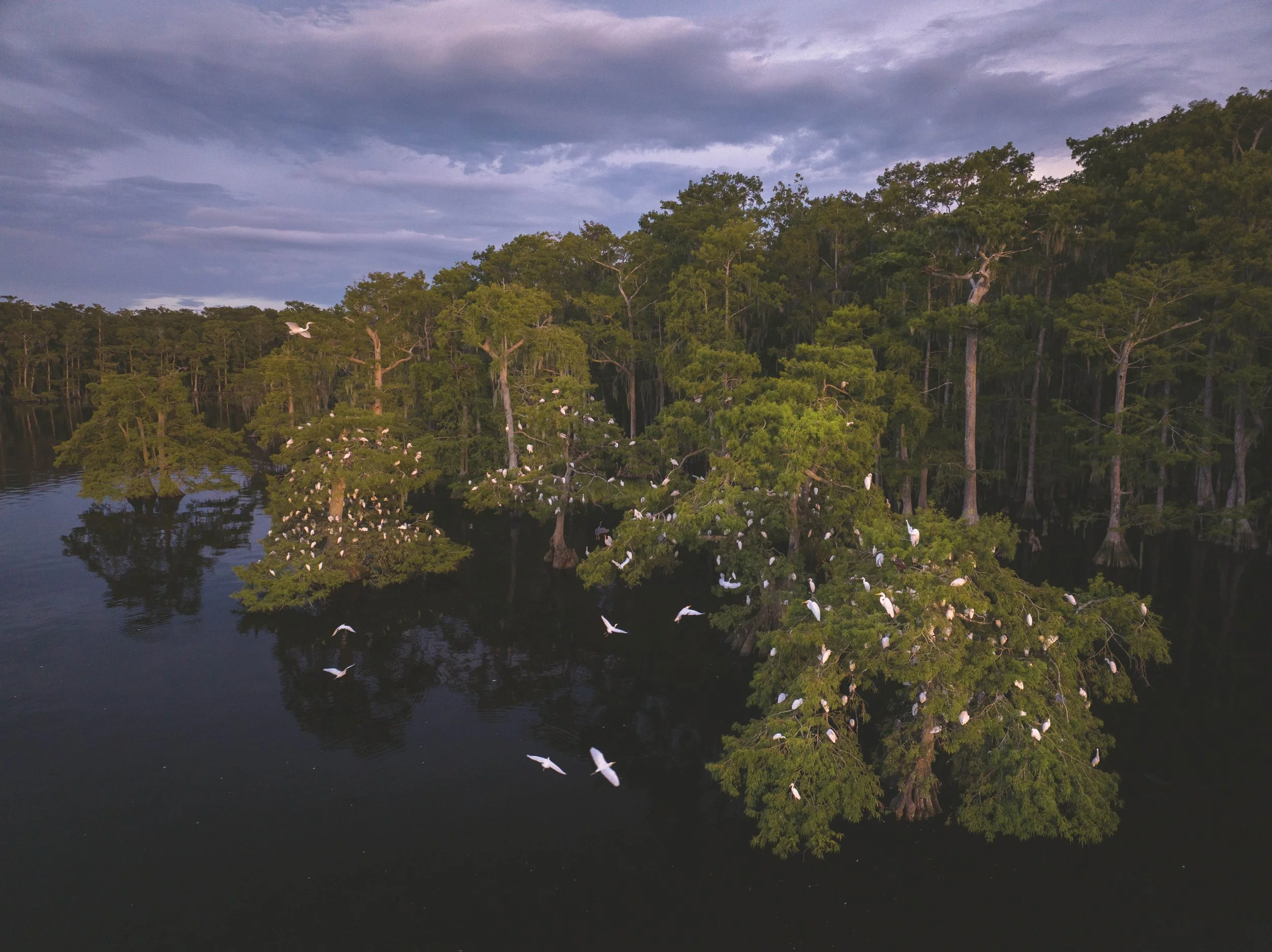 p.182-183_Photo Mac Stone, American Amazon, teNeues 2026.jpg