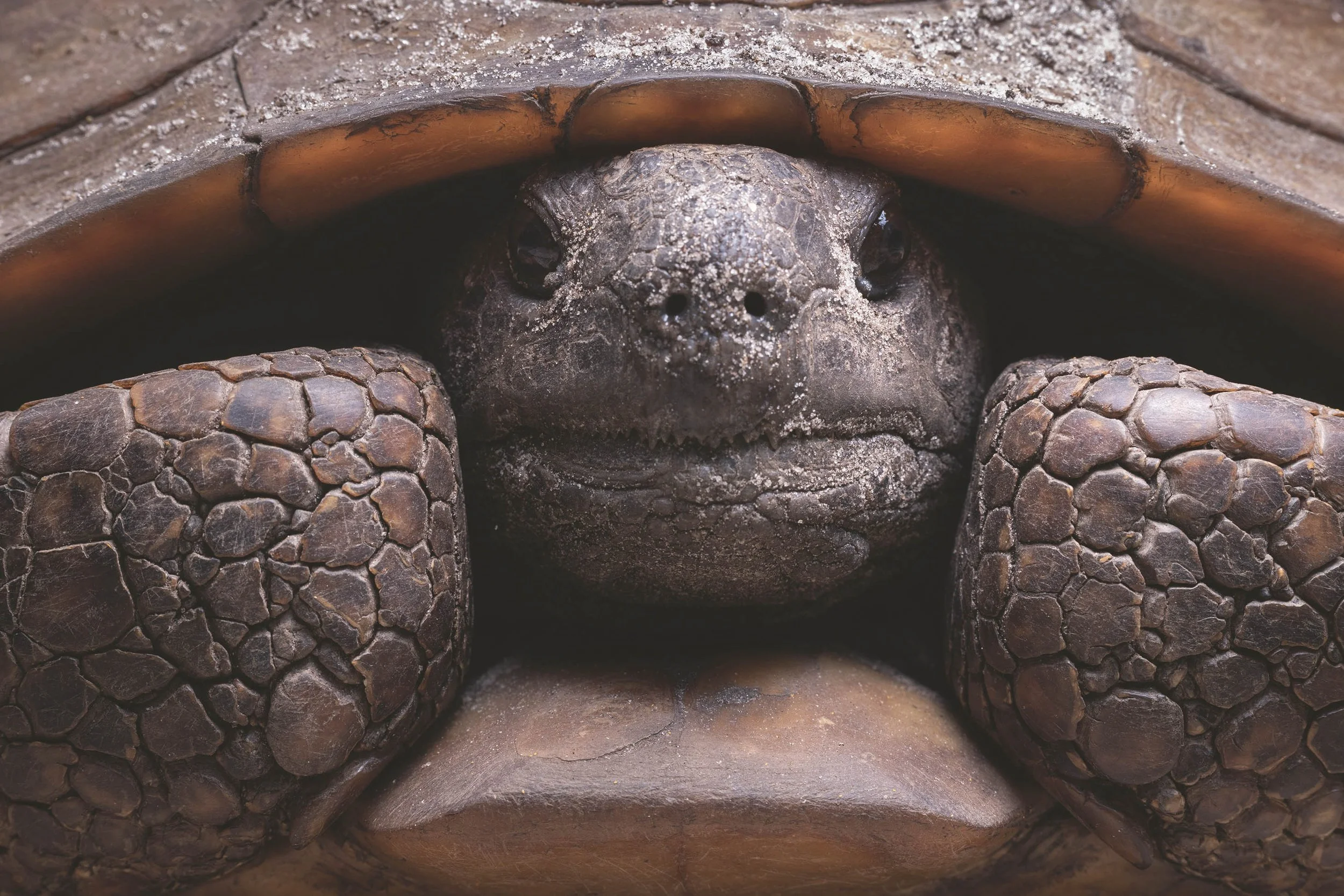 p.129_Photo Mac Stone, American Amazon, teNeues 2026.jpg