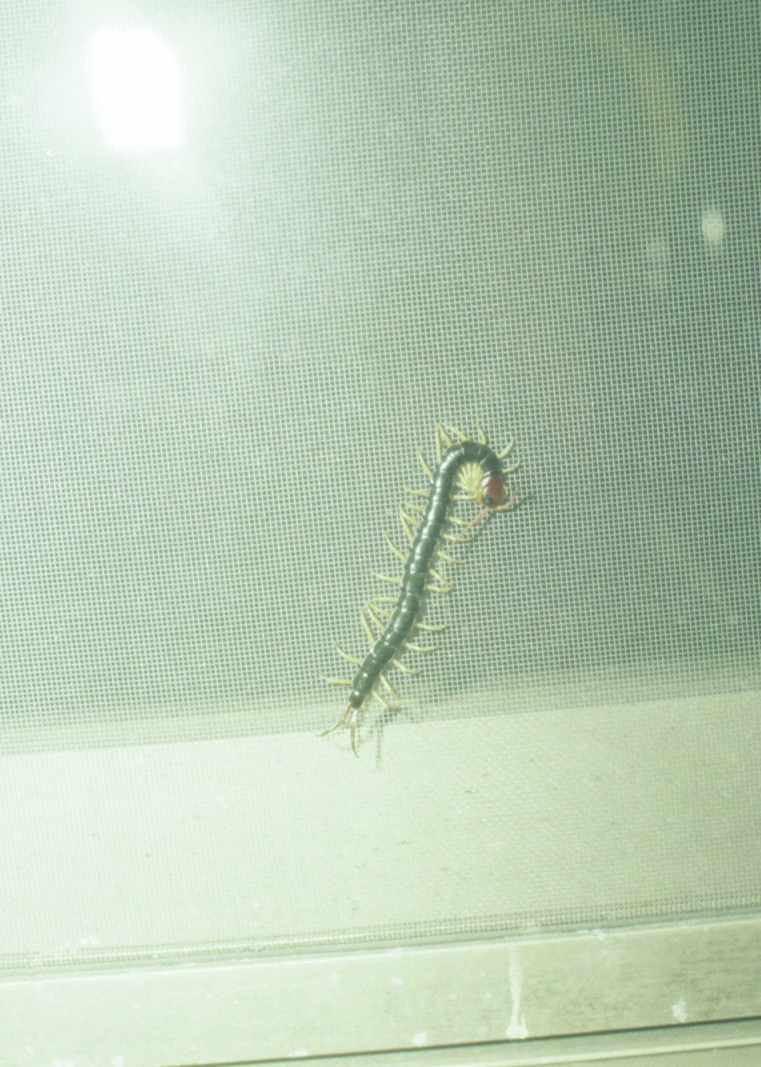 img20241211_23493097.jpg