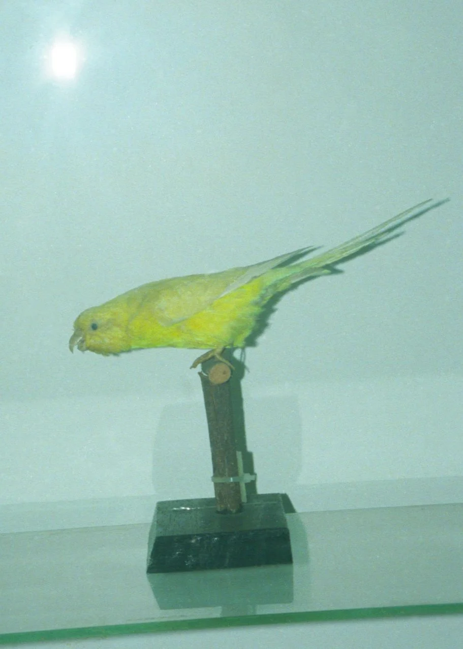 img20250331_23115514.jpg