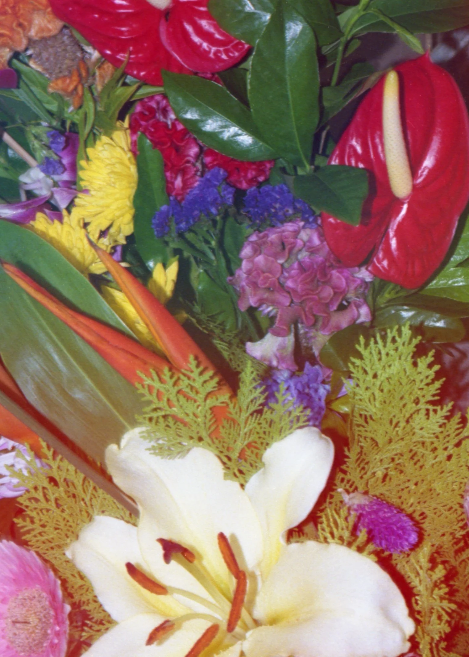 img20251025_09275191.jpg