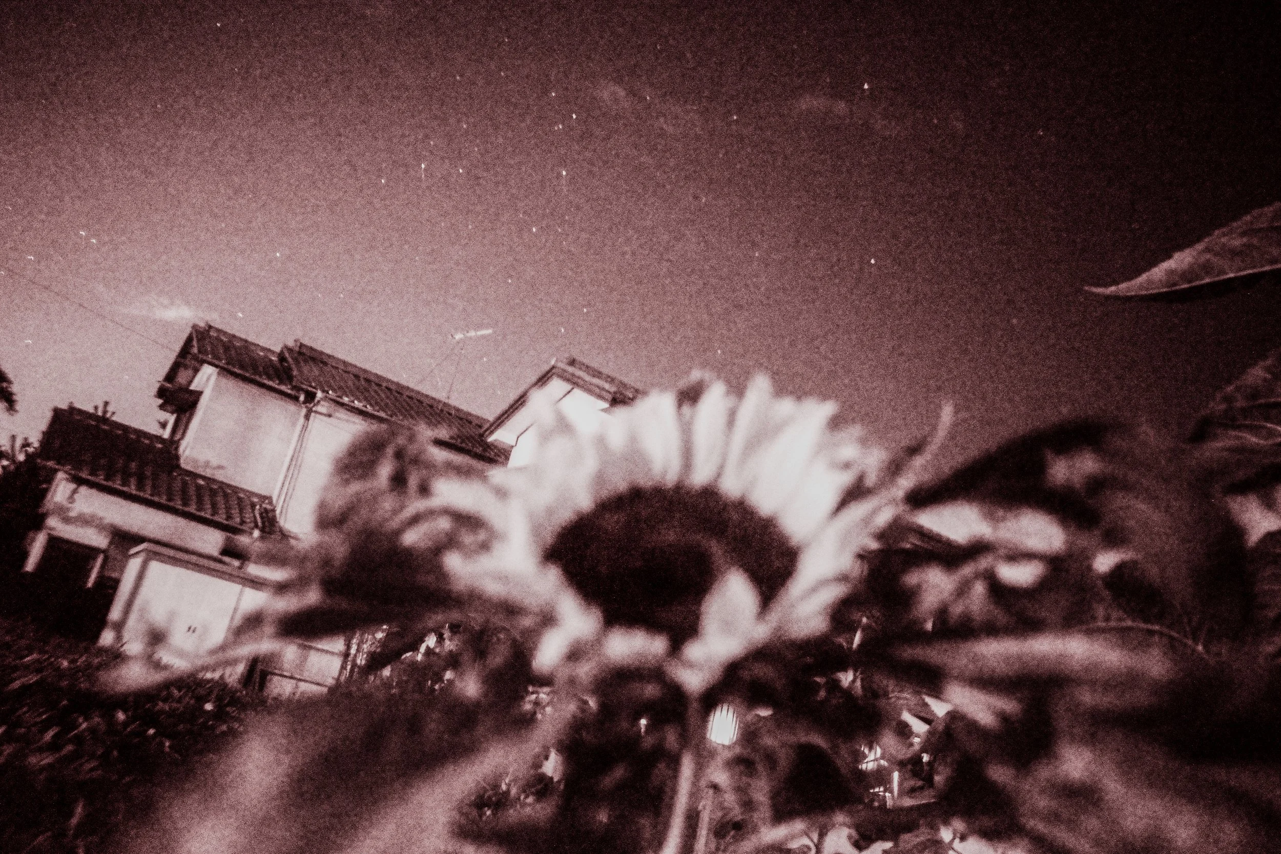 breathless009.jpg