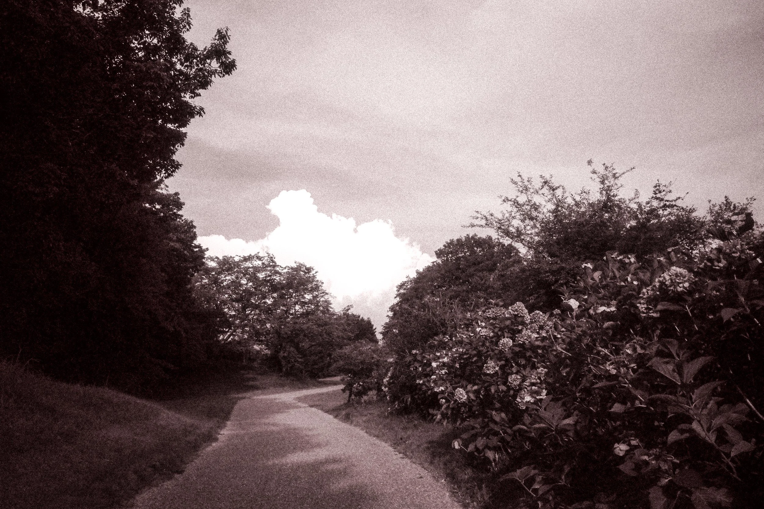 breathless014.jpg