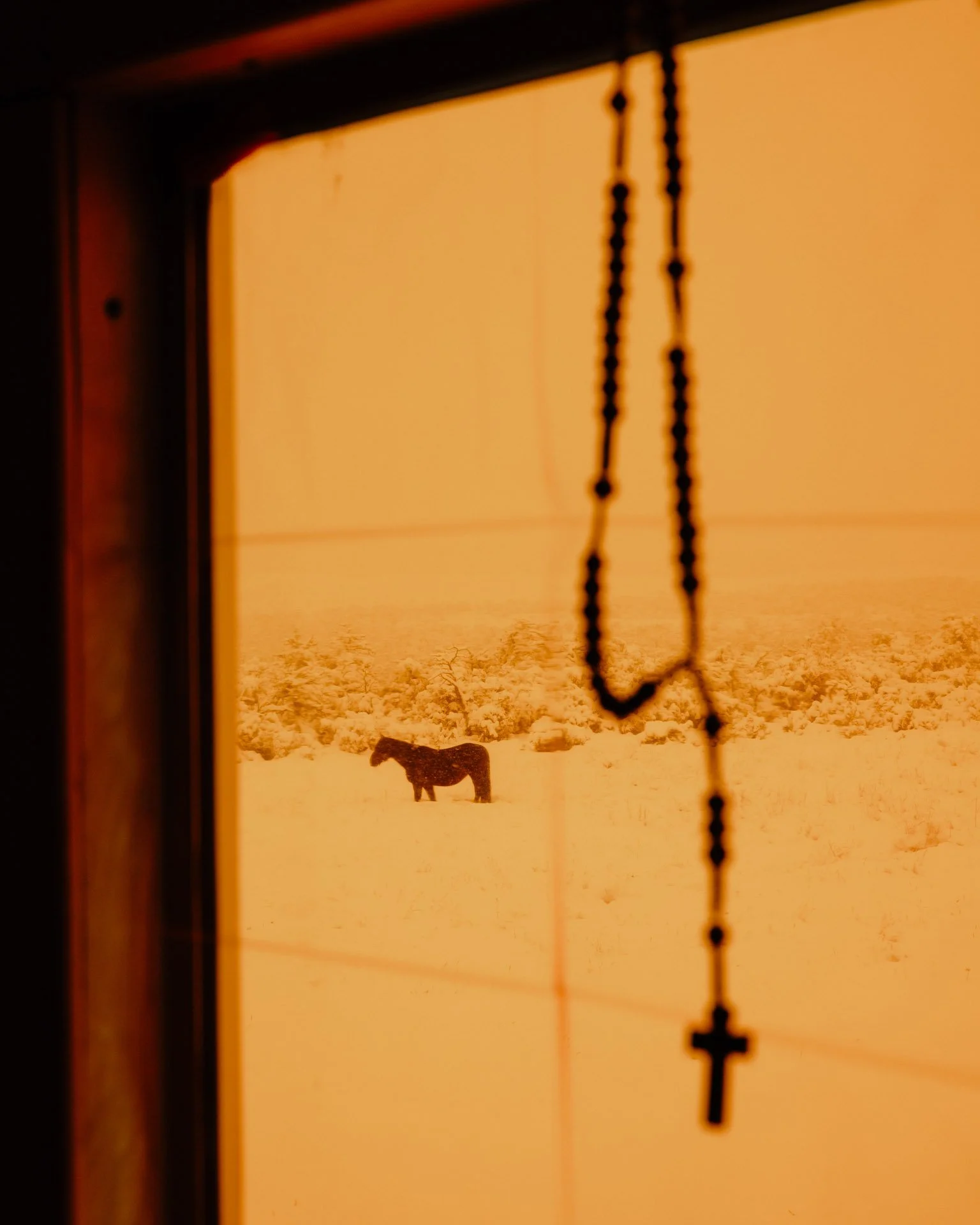 Coiron_01.jpg