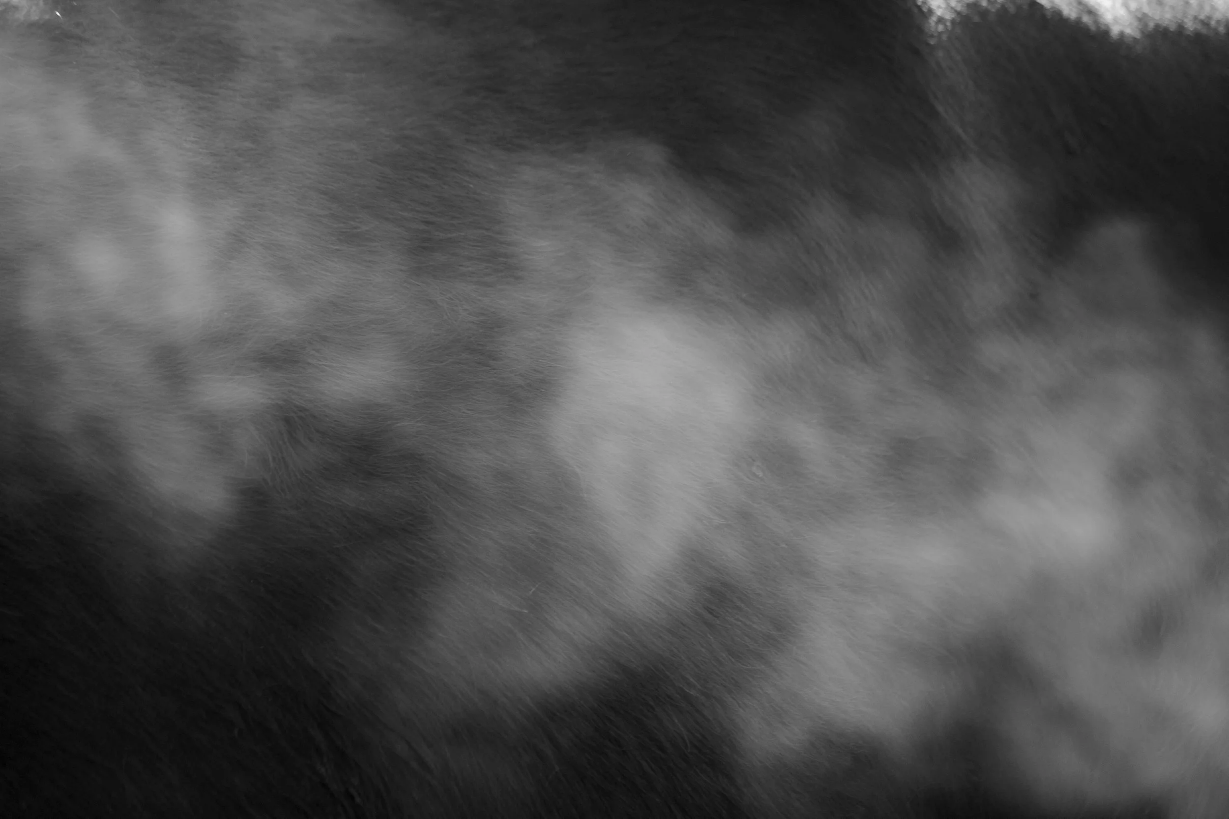 Emma's breath.2.jpg