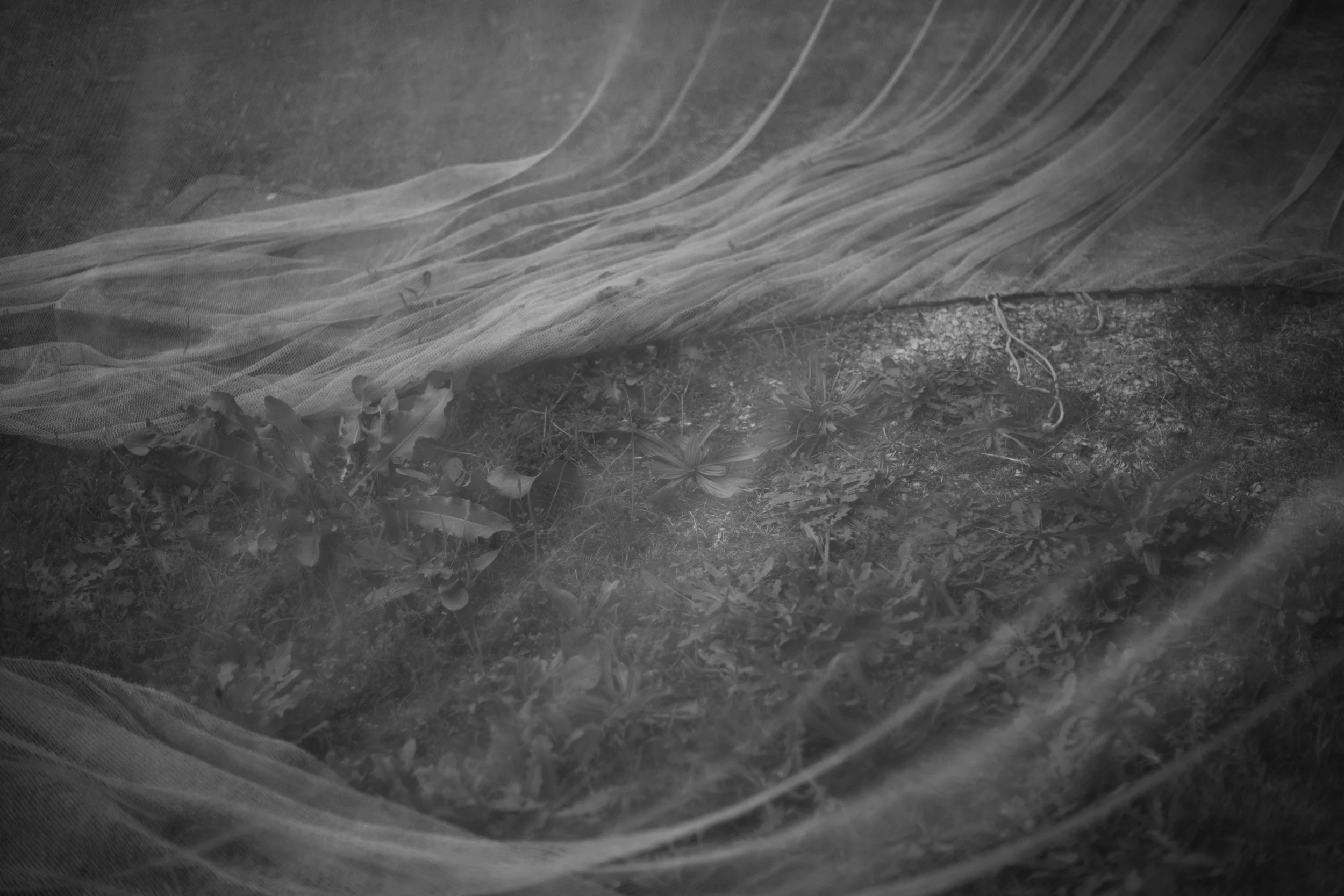 Fishing net.jpg