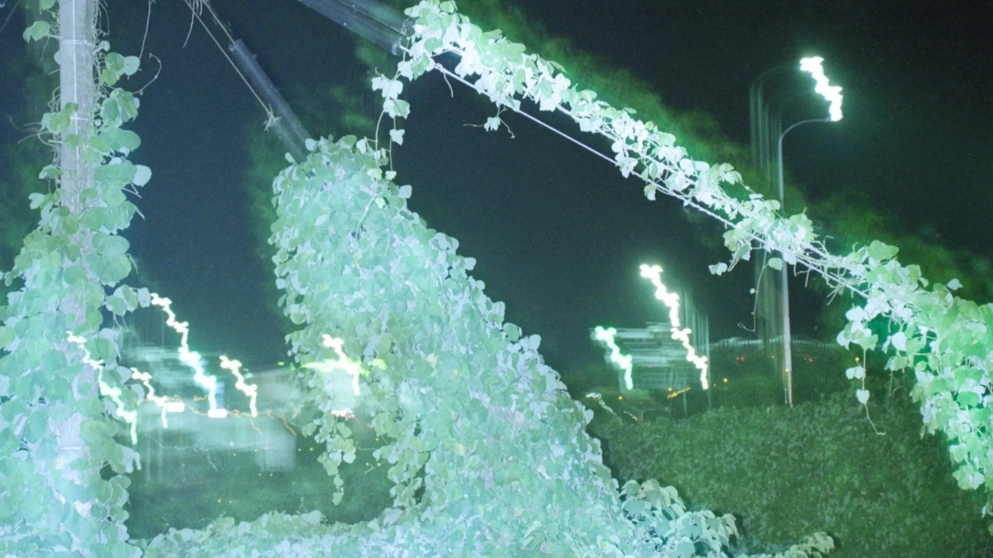 Taisuke Nakano Discovered a Murderer Shared His Name. Here’s Why He Refused to Photograph the Crime Like a Documentary
