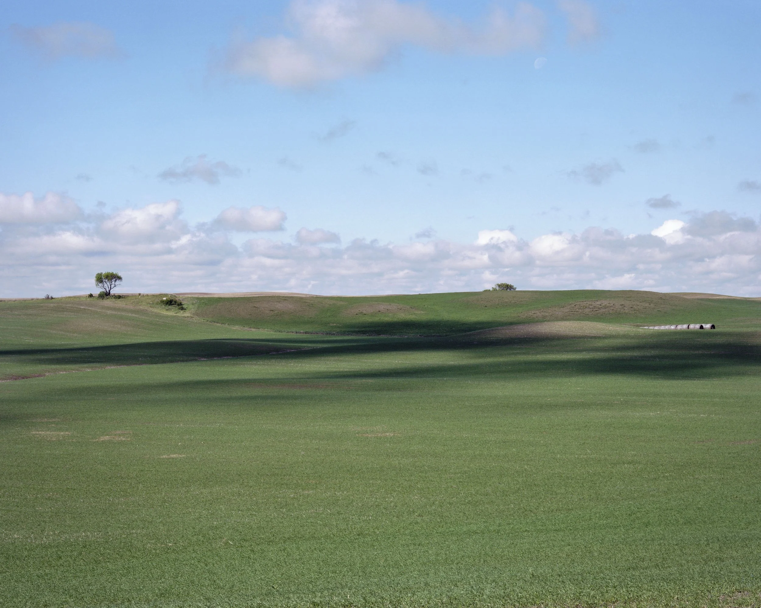 north_of_martin_nd.jpg