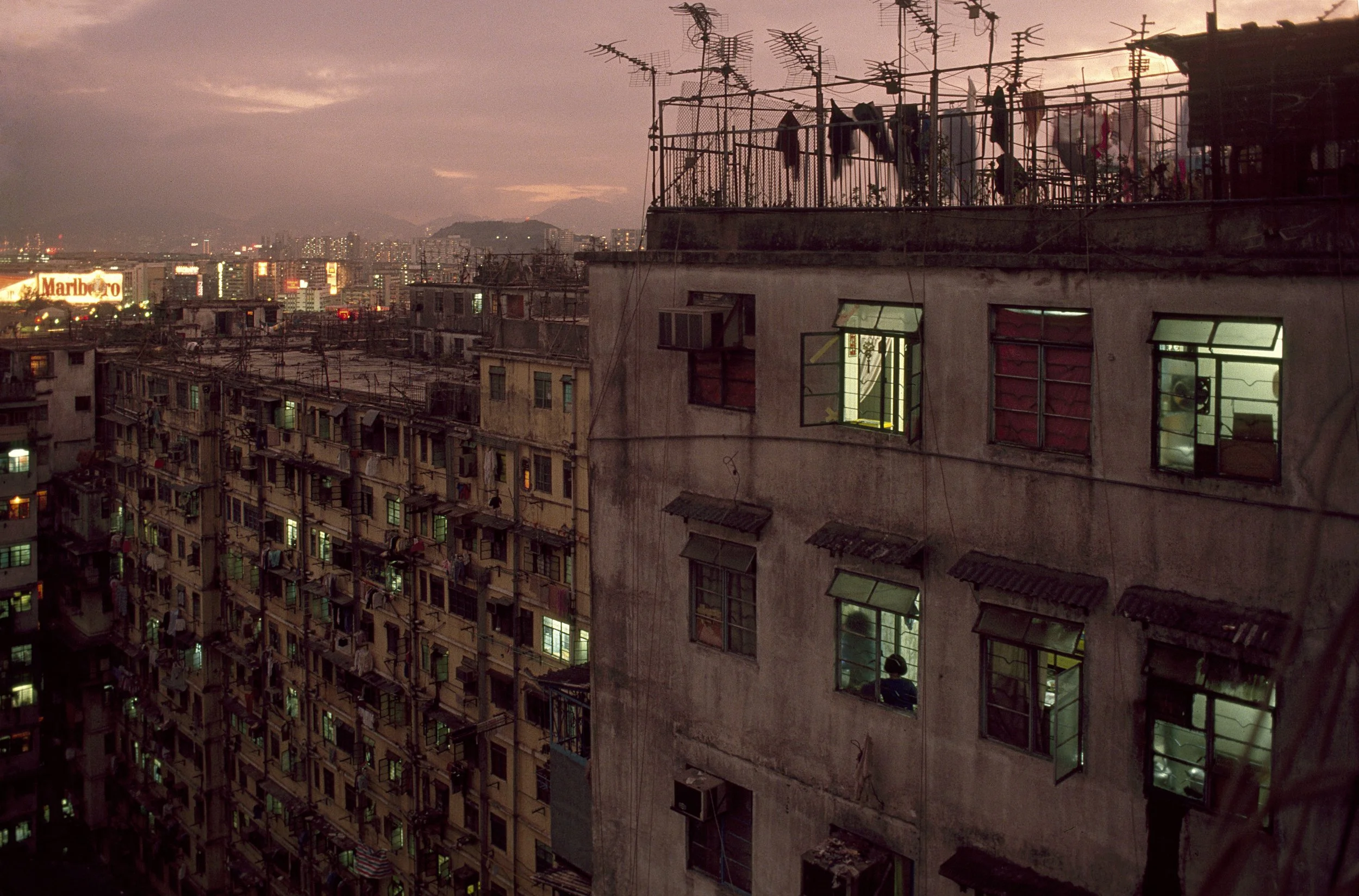 007_Rooftop08b.jpg