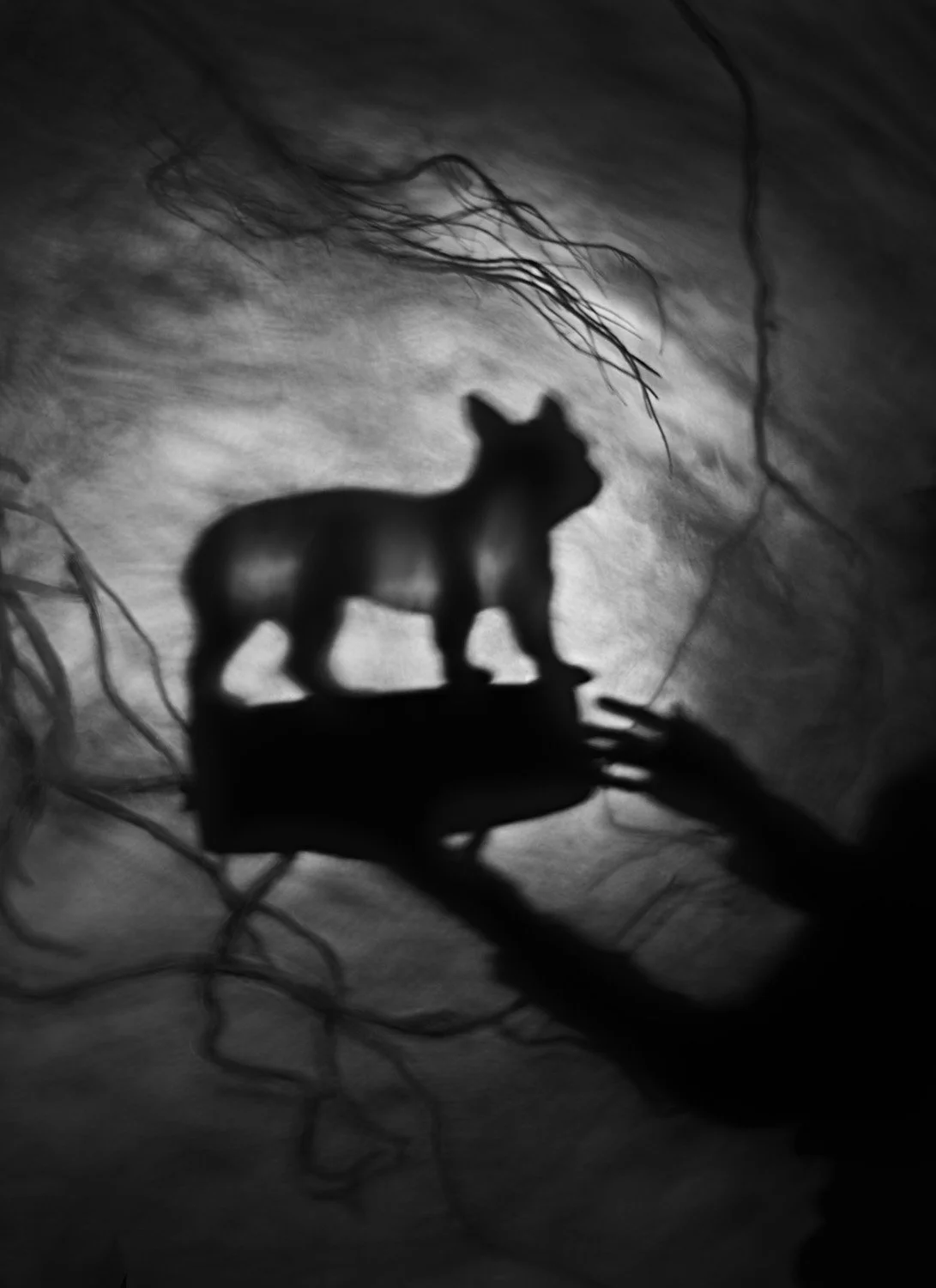 Night Journey by Susan kae Grant_MW Editions_136.jpg
