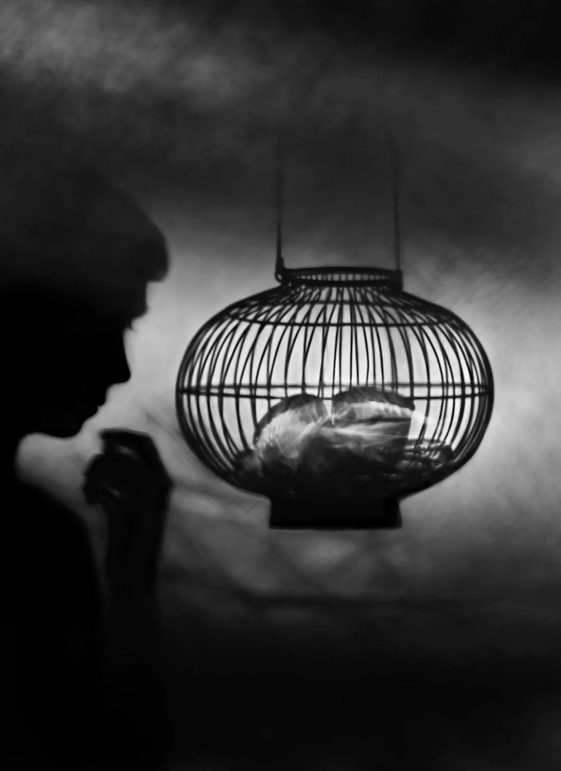 Night Journey by Susan kae Grant_MW Editions_81.jpg