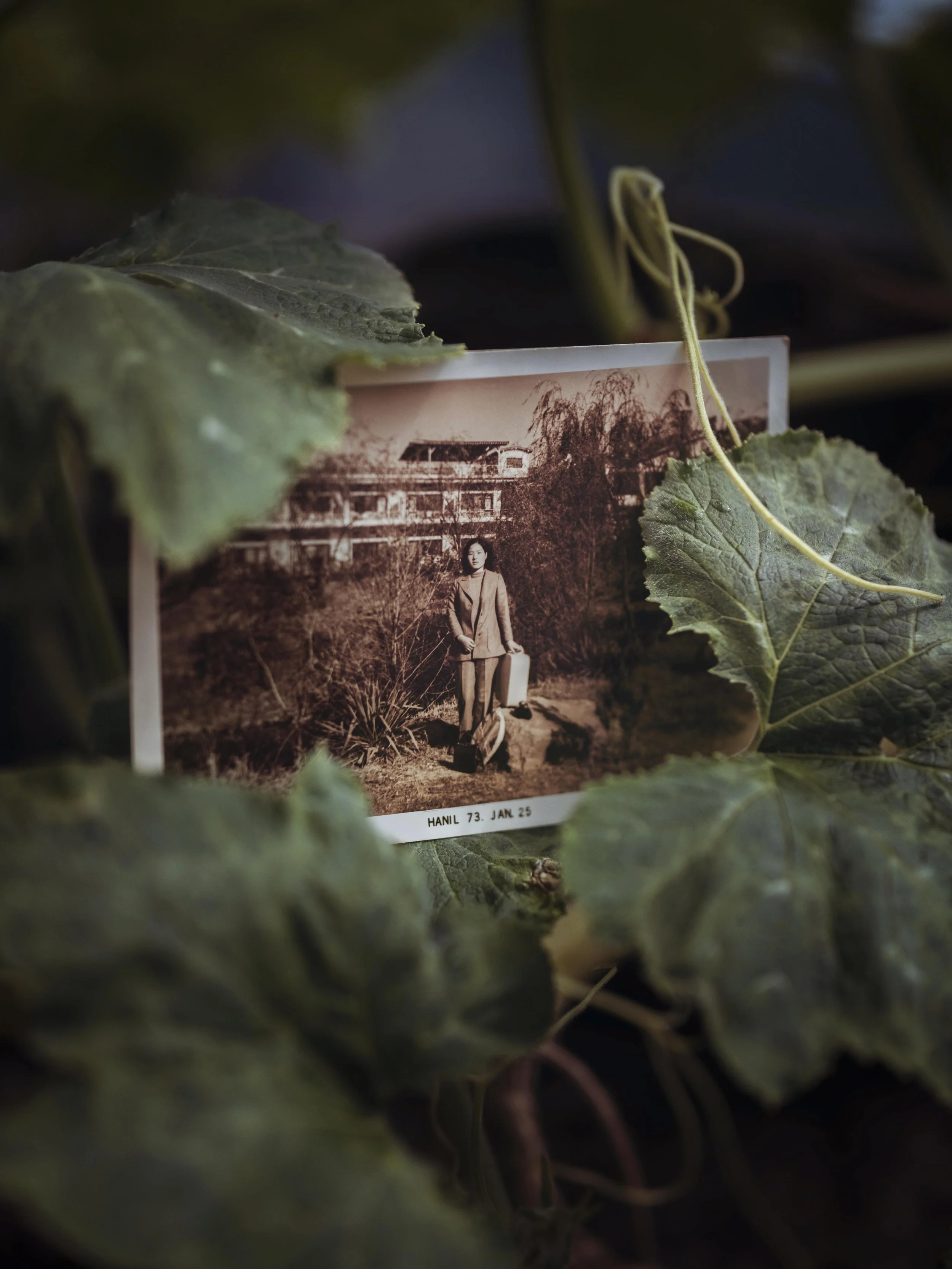 _DSF6920.jpg