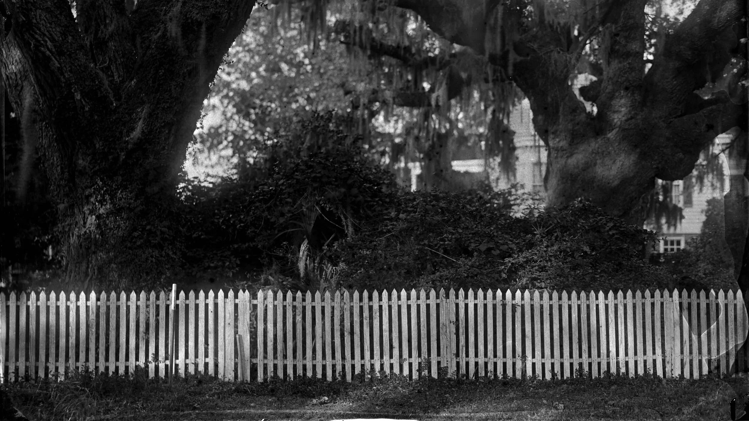 How 300-Year-Old Maps Changed the Way Virginia McGee Richards Photographed the American South