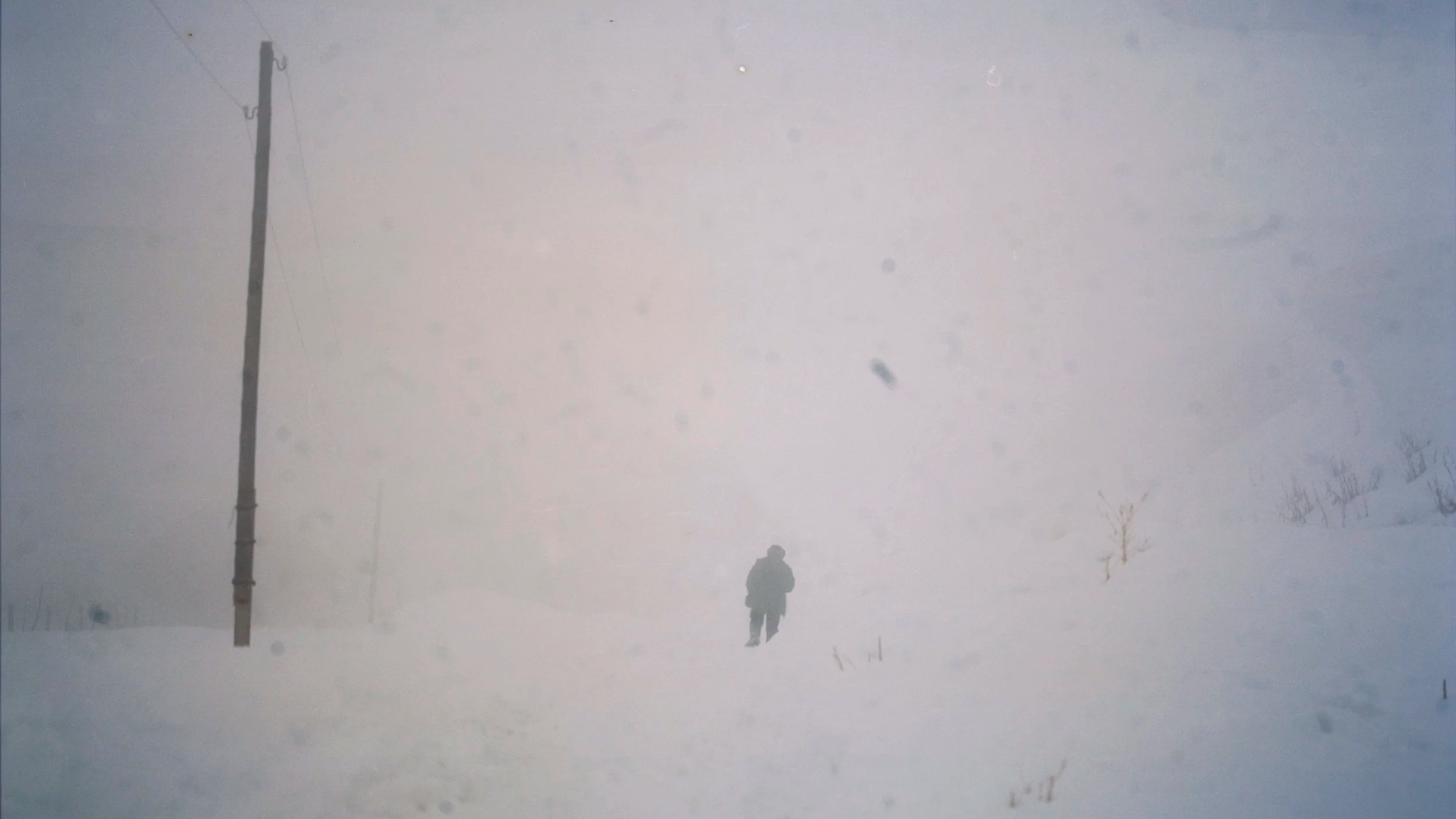 Why a Single Photograph of Nadir Became the Final Image in Luke Oppenheimer’s Ottuk