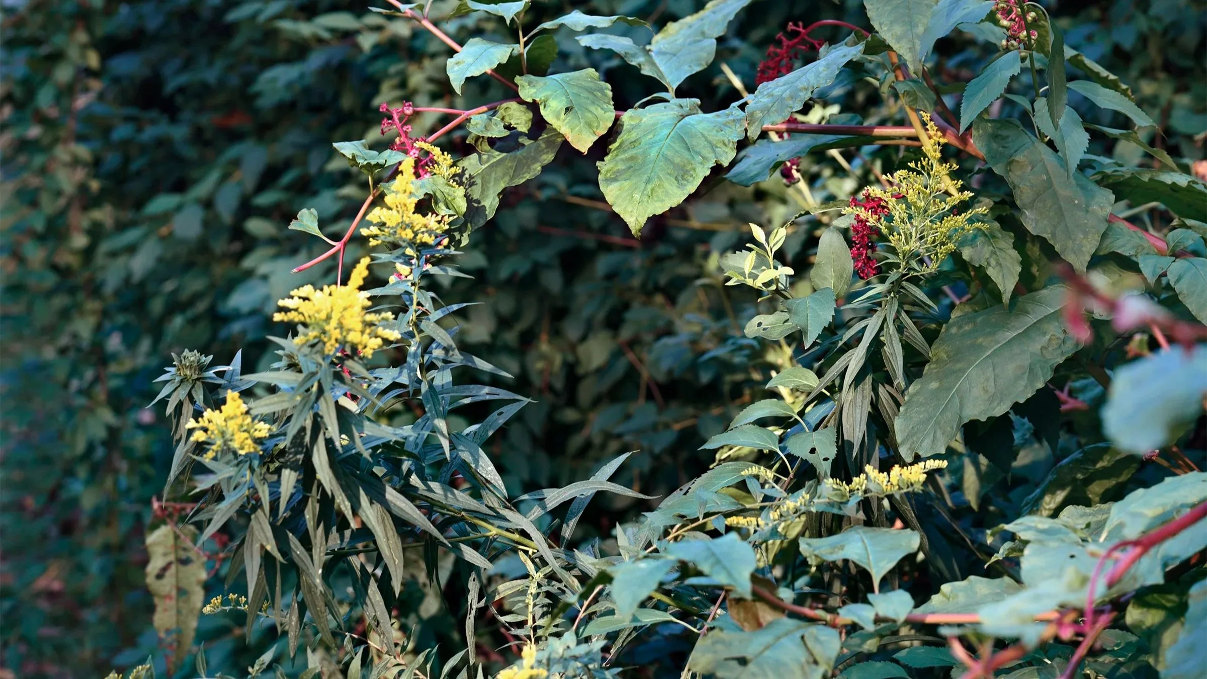 What Painting Changed About Janelle Lynch’s Photographs