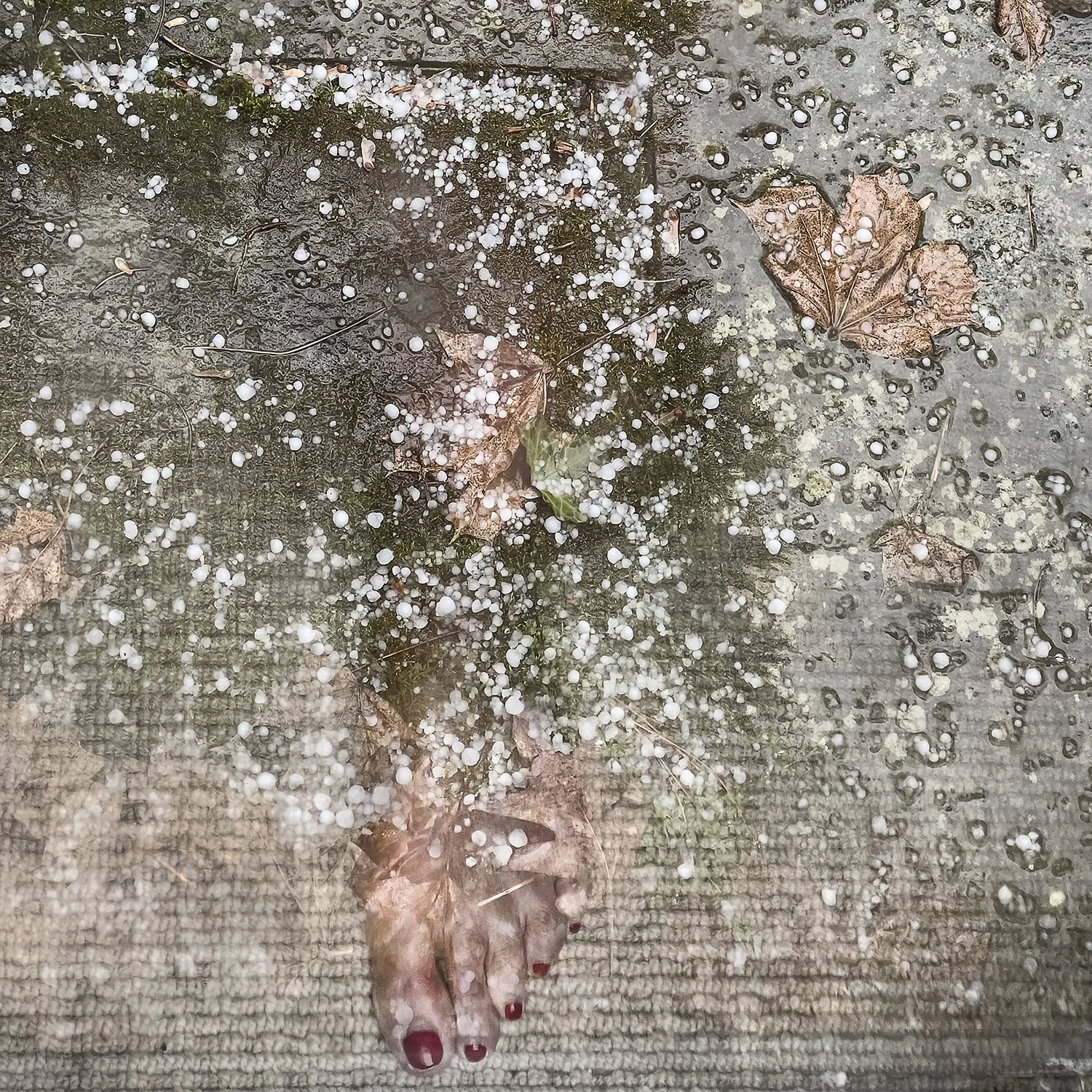 Lauren Shaw_Traces of Impermanence_MW Editions_73.jpg