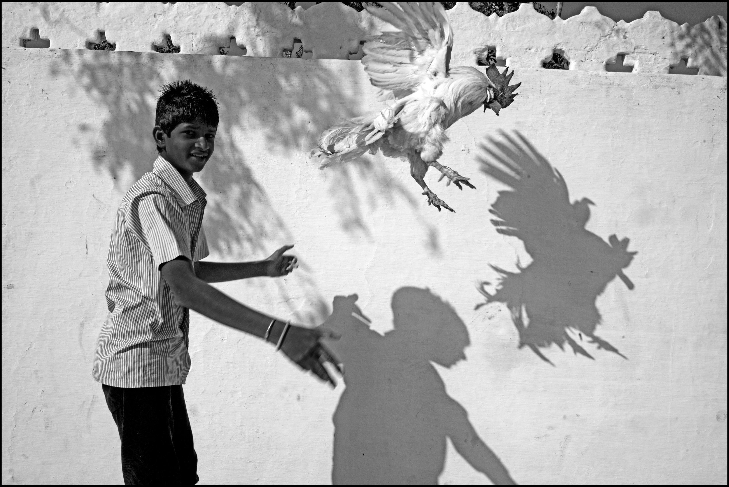 Abbas, Udaipur, Rajasthan, India.