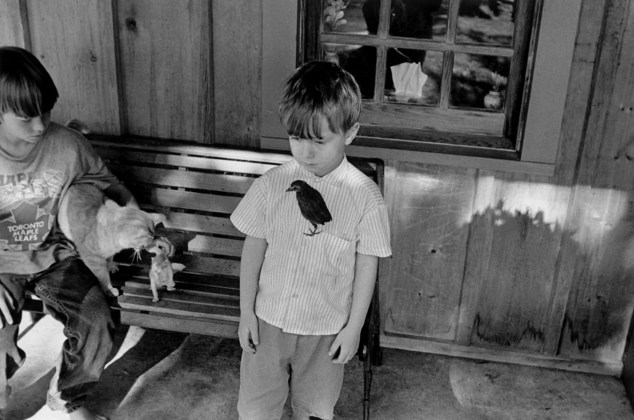 Larry Towell.jpg