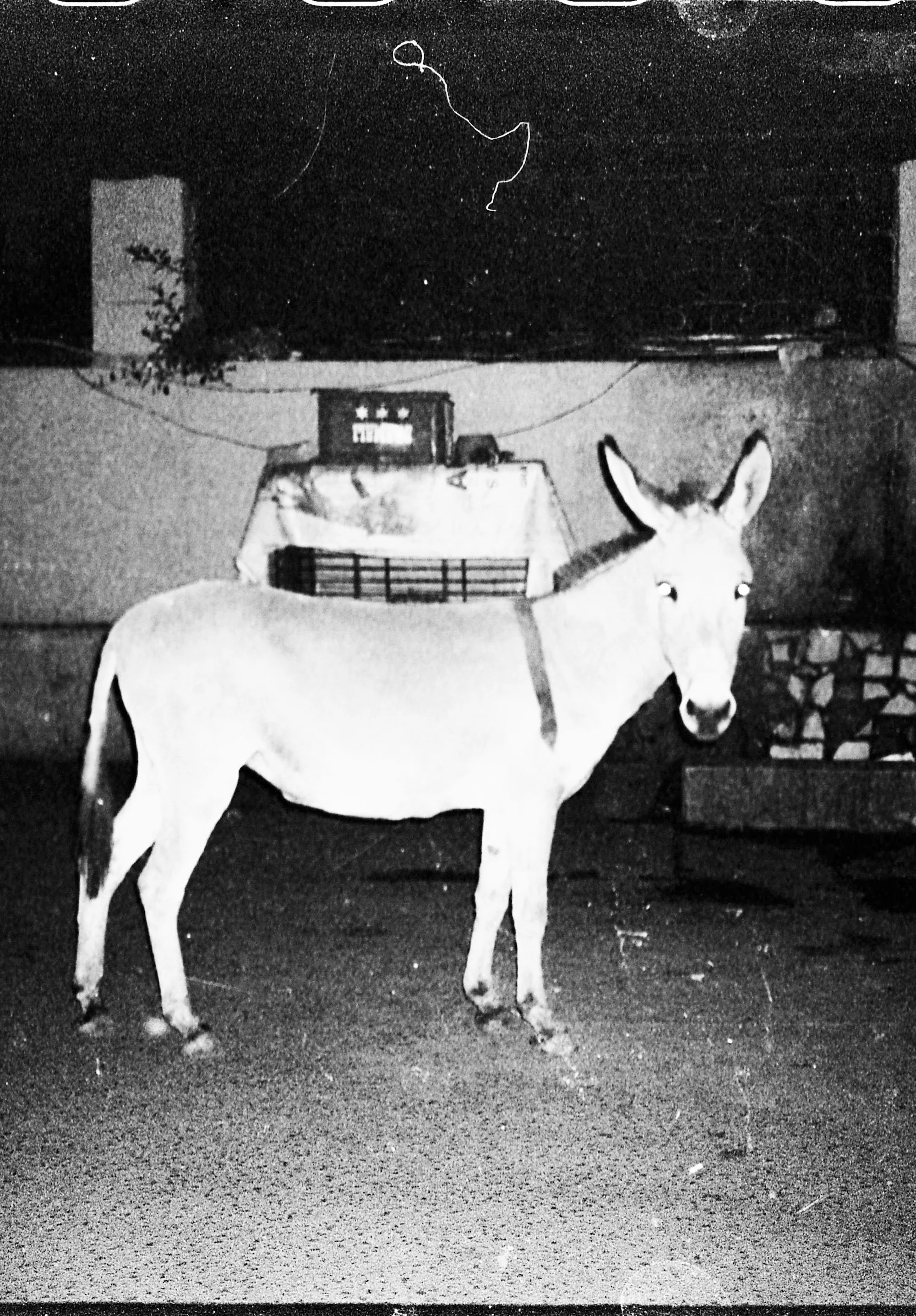 Salih Basheer.jpg
