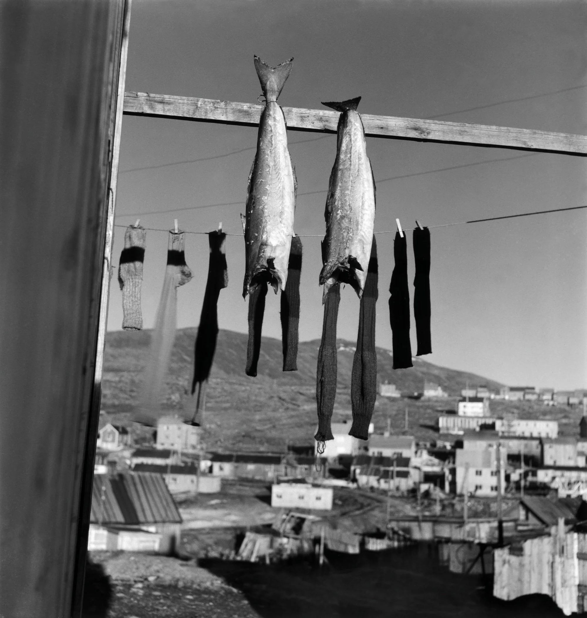 Werner Bischof.jpg