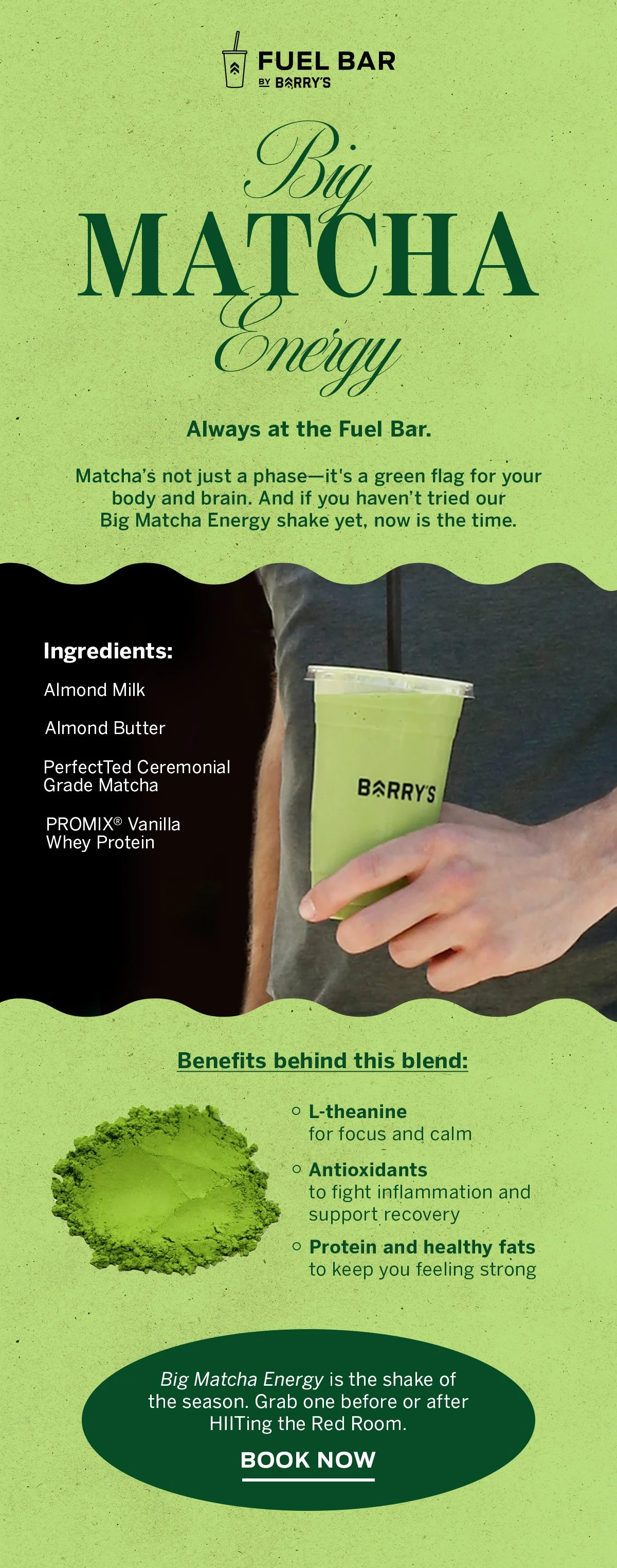 FB_EMAIL_Matcha Focus.jpg