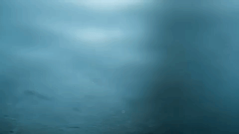 water-drop.gif