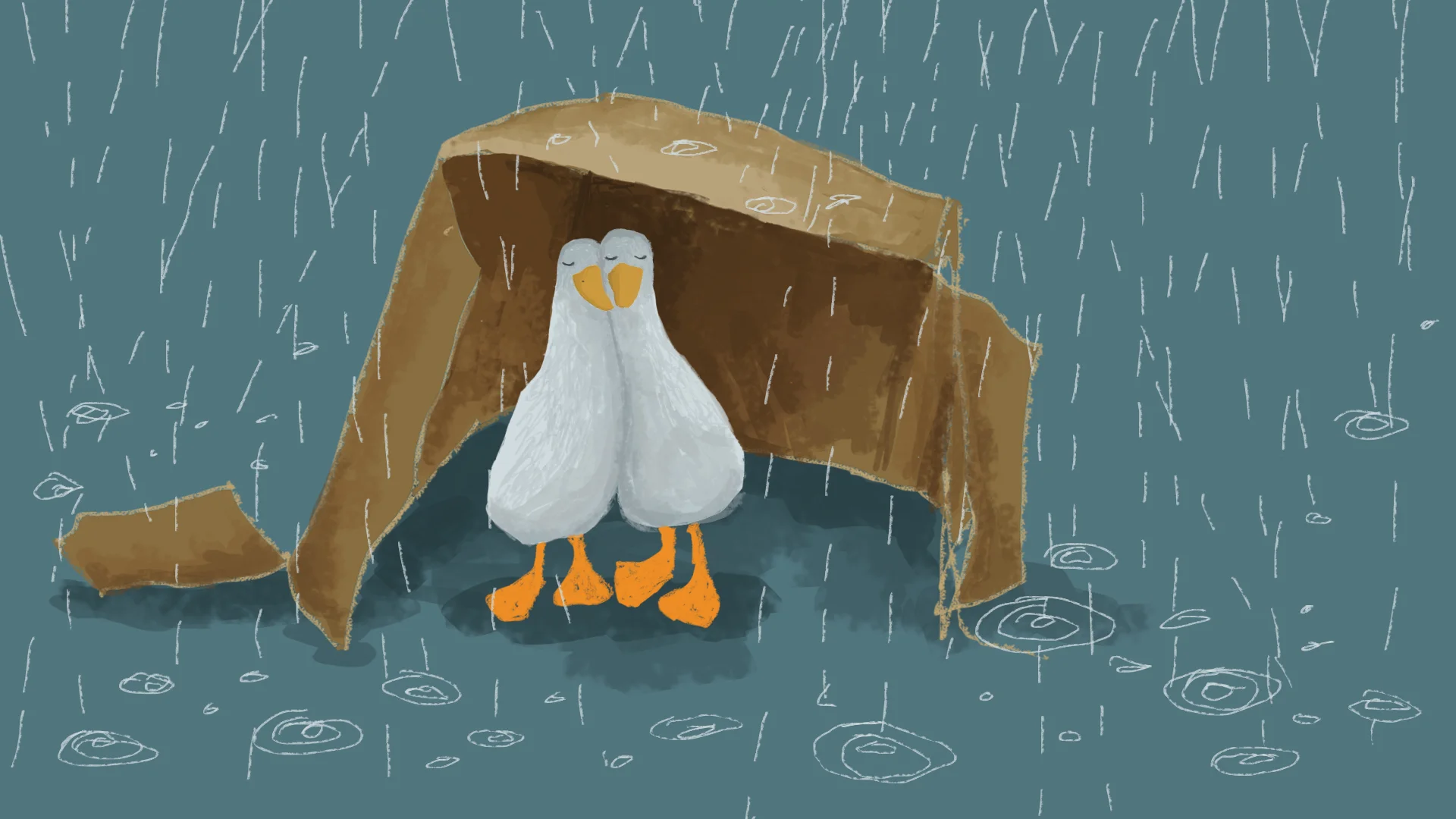 Duck Hygge