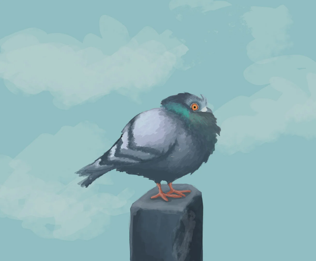 Cold Pigeon