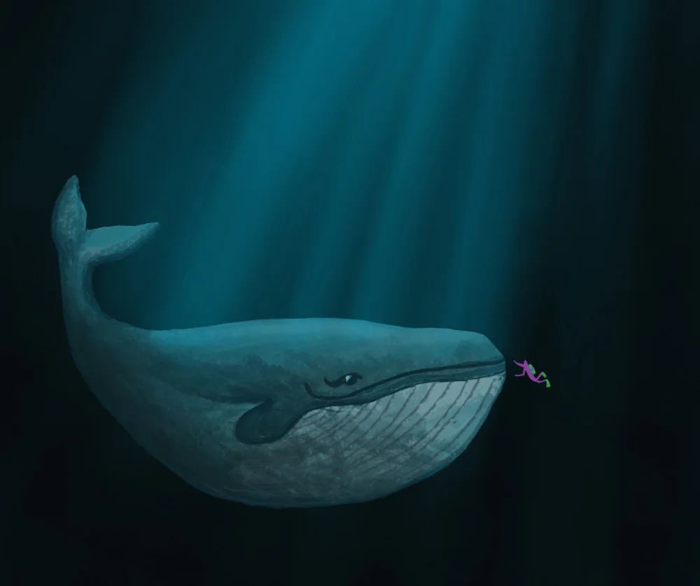 The Encounter