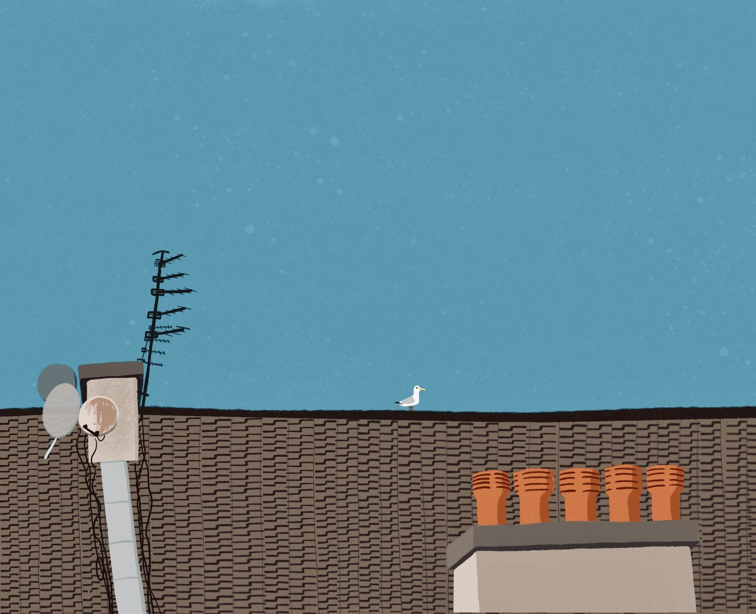 A Glaswegian Seagull