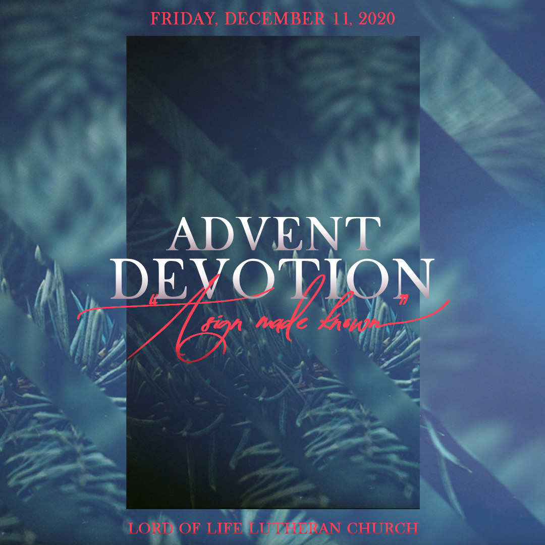December 11, 2020 - Advent Devotion