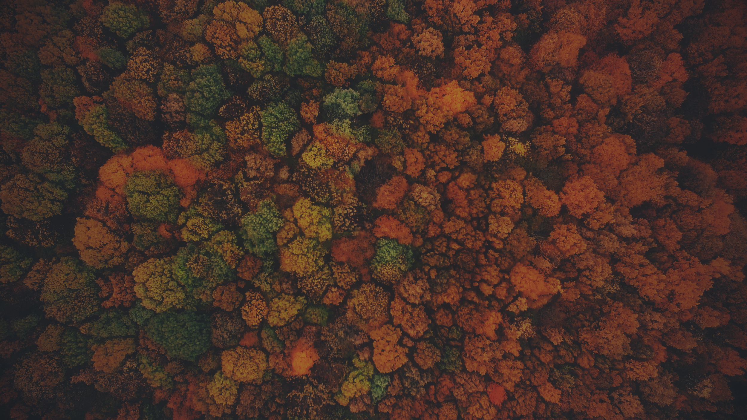 TopDown.png