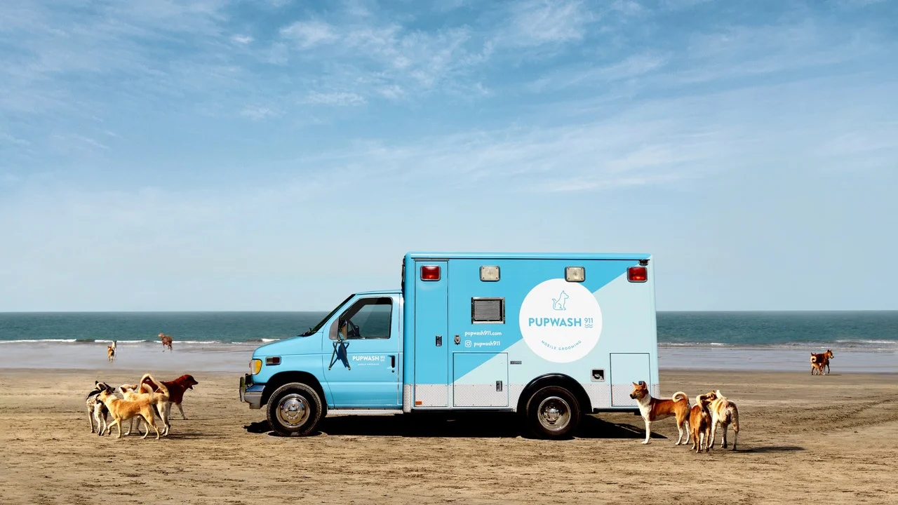 First Look at Pupwash911! 