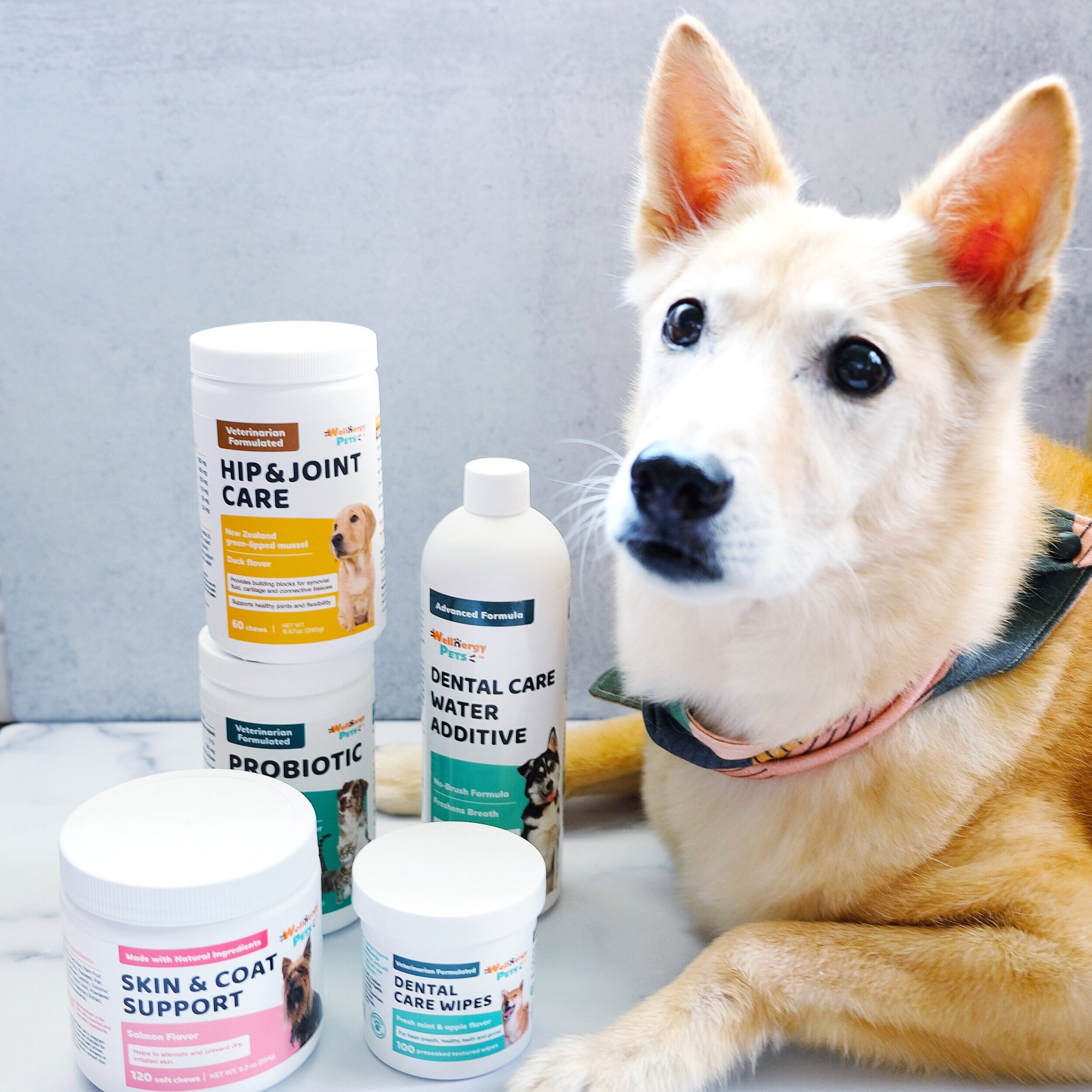 Wellnergy Pets Brand Ambassador!